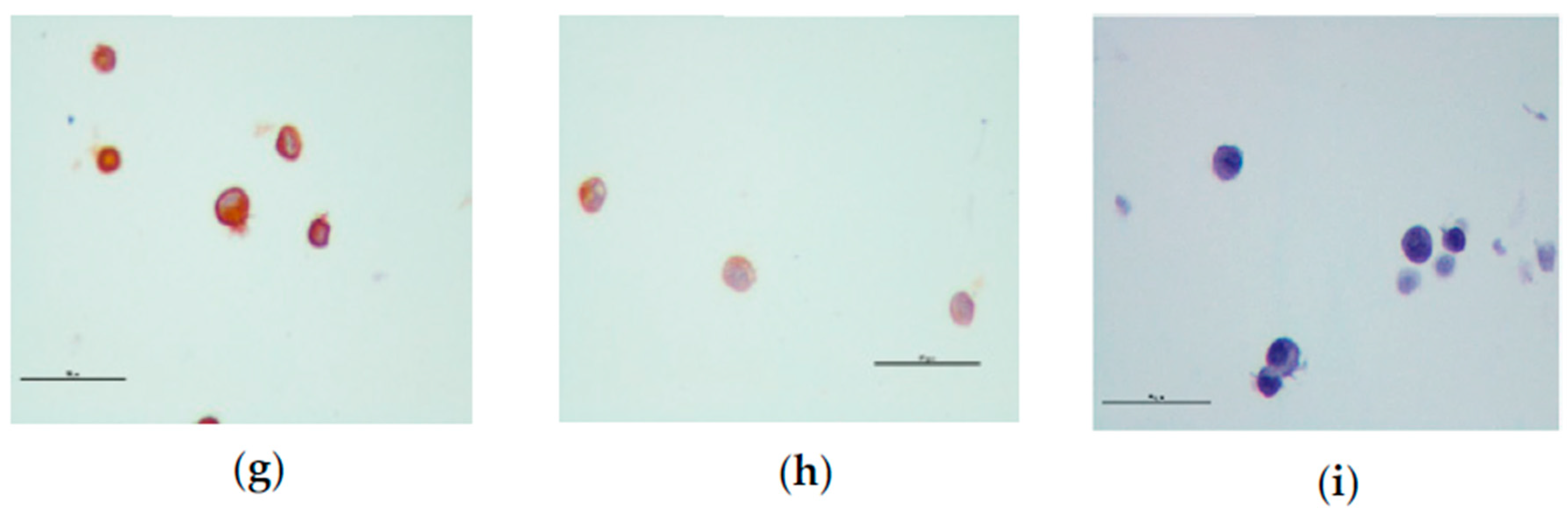 Biomolecules 08 00175 g010b