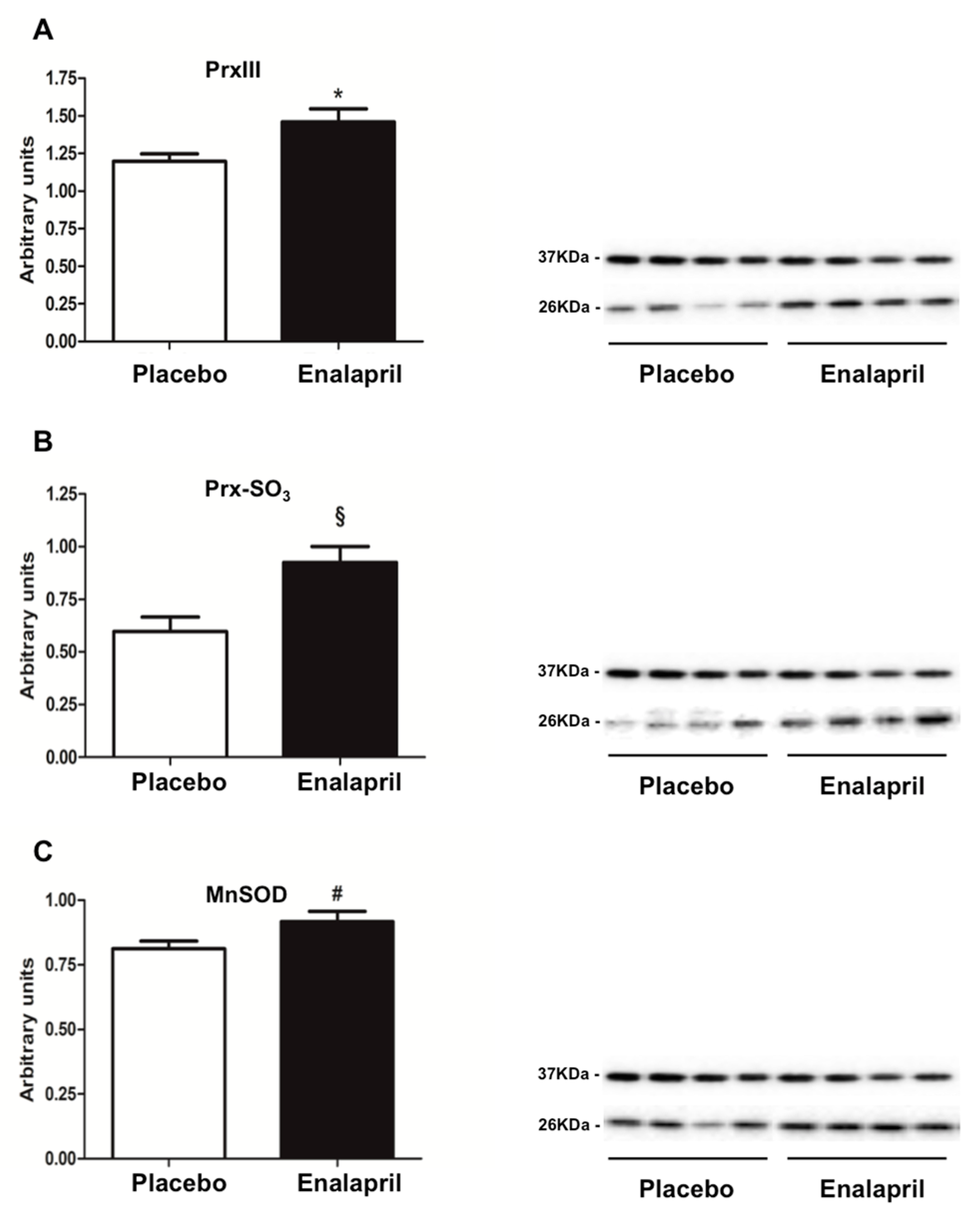 Biomolecules 08 00177 g001 Biomolecules 08 00177 g001