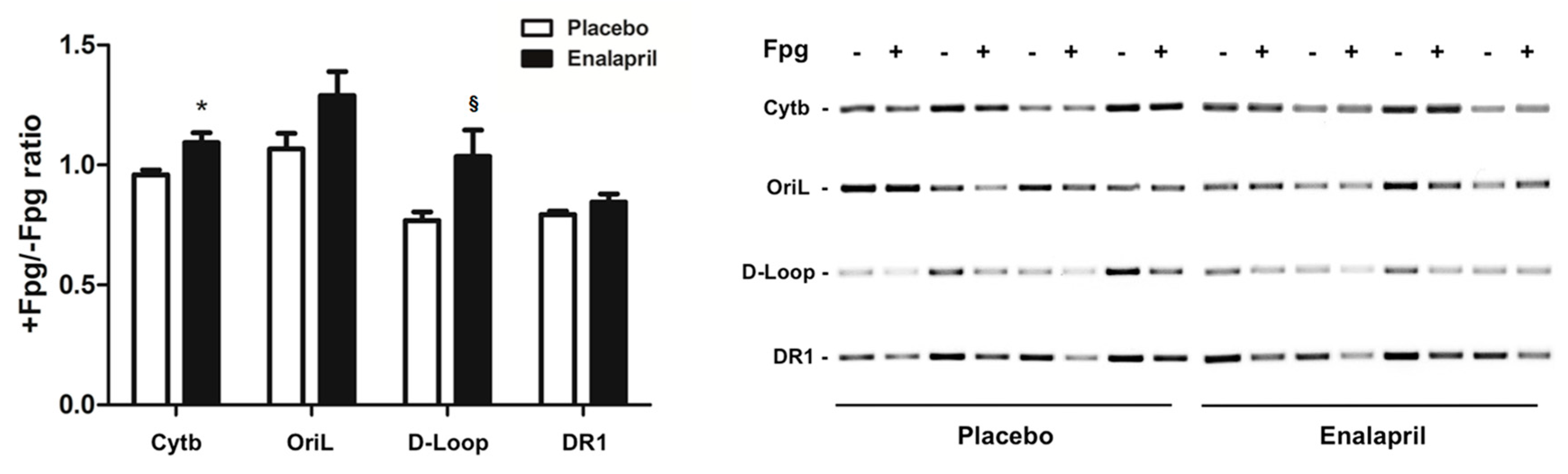 Biomolecules 08 00177 g004 Biomolecules 08 00177 g004