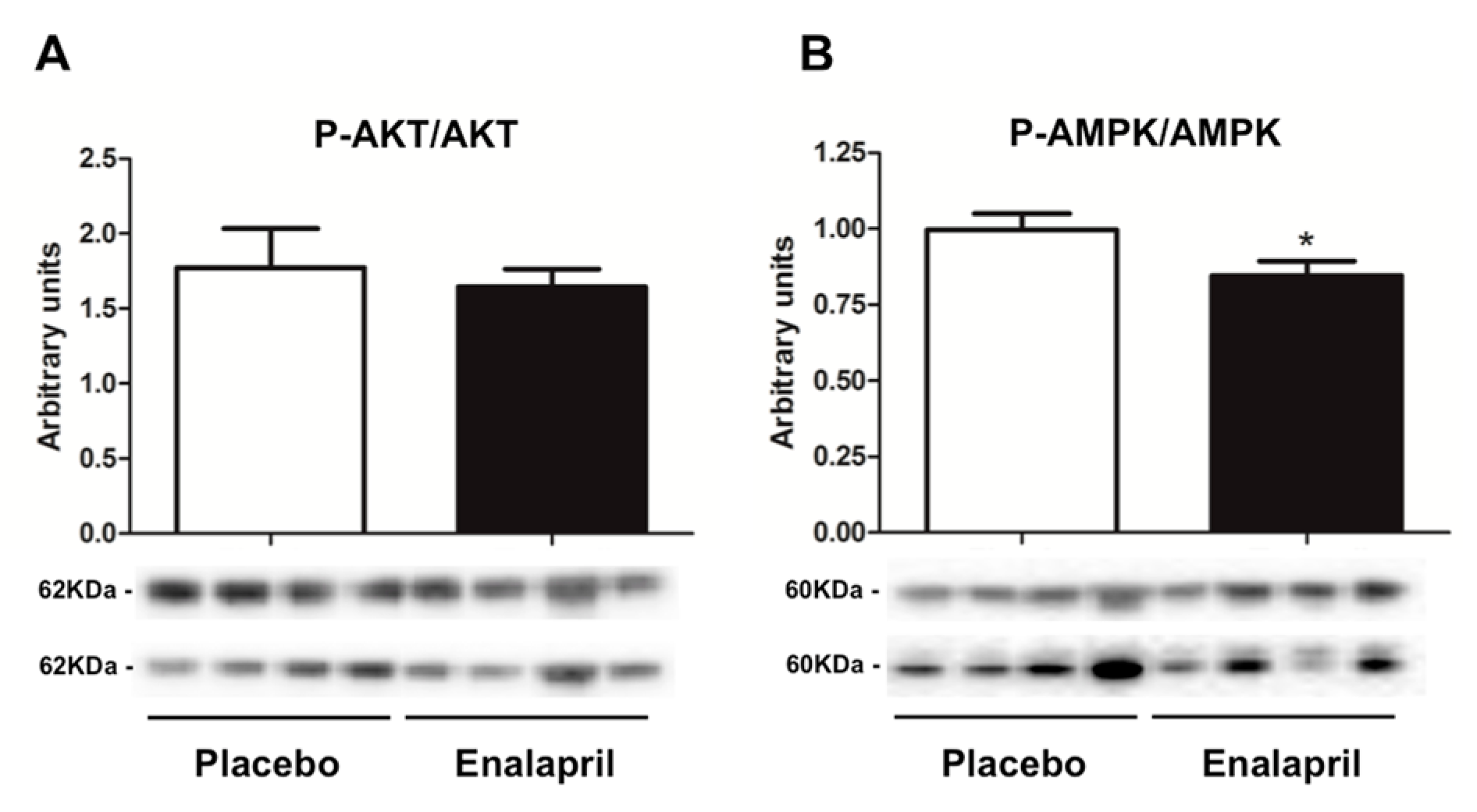 Biomolecules 08 00177 g005 Biomolecules 08 00177 g005