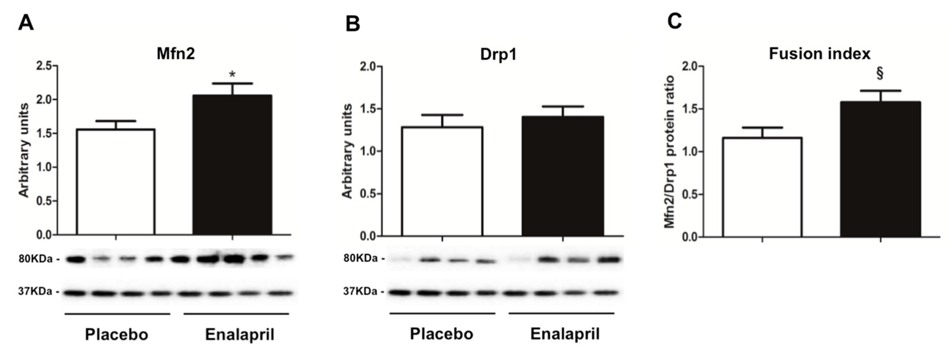 Biomolecules 08 00177 g008 Biomolecules 08 00177 g008