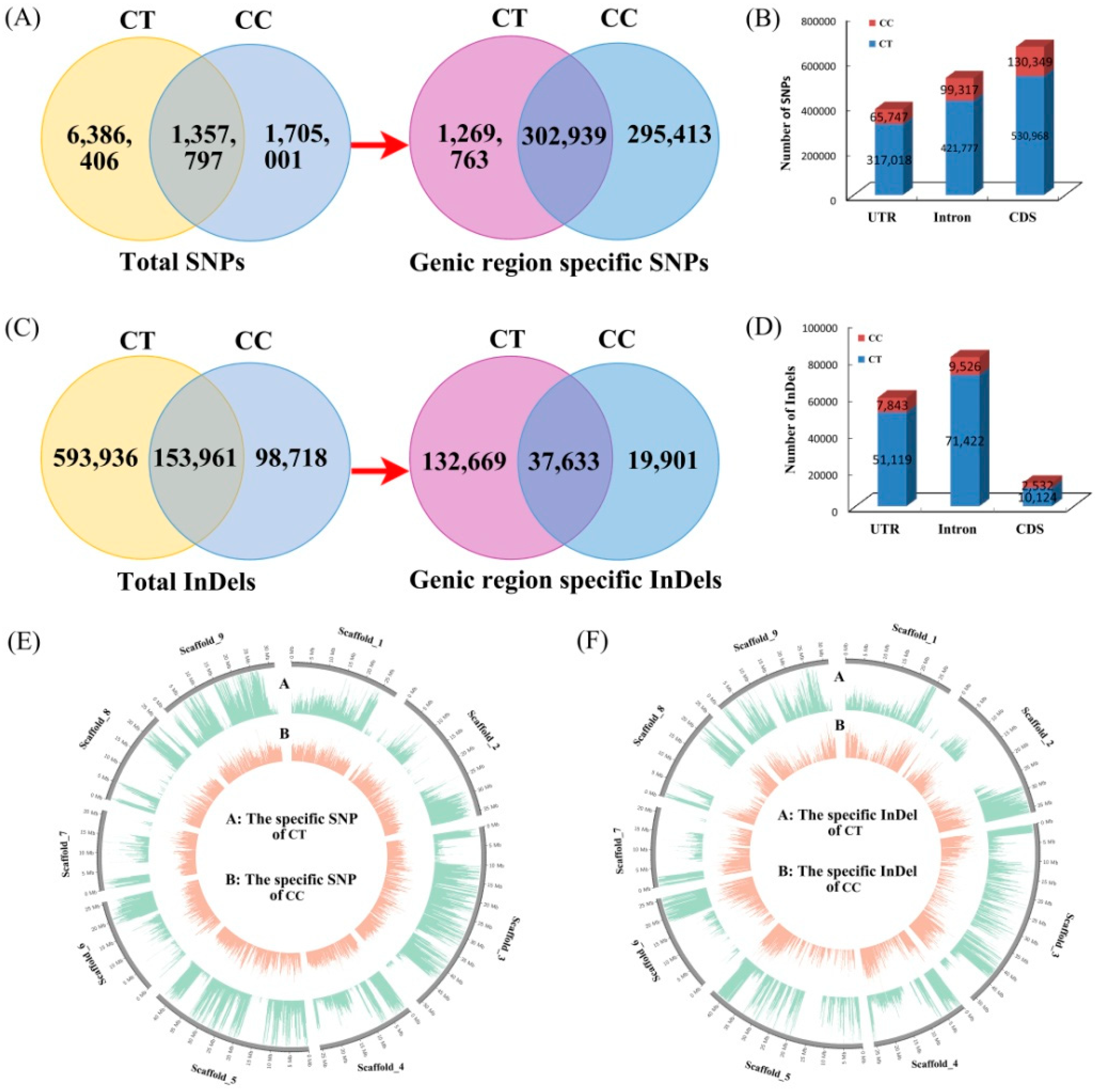 Biomolecules 08 00182 g002
