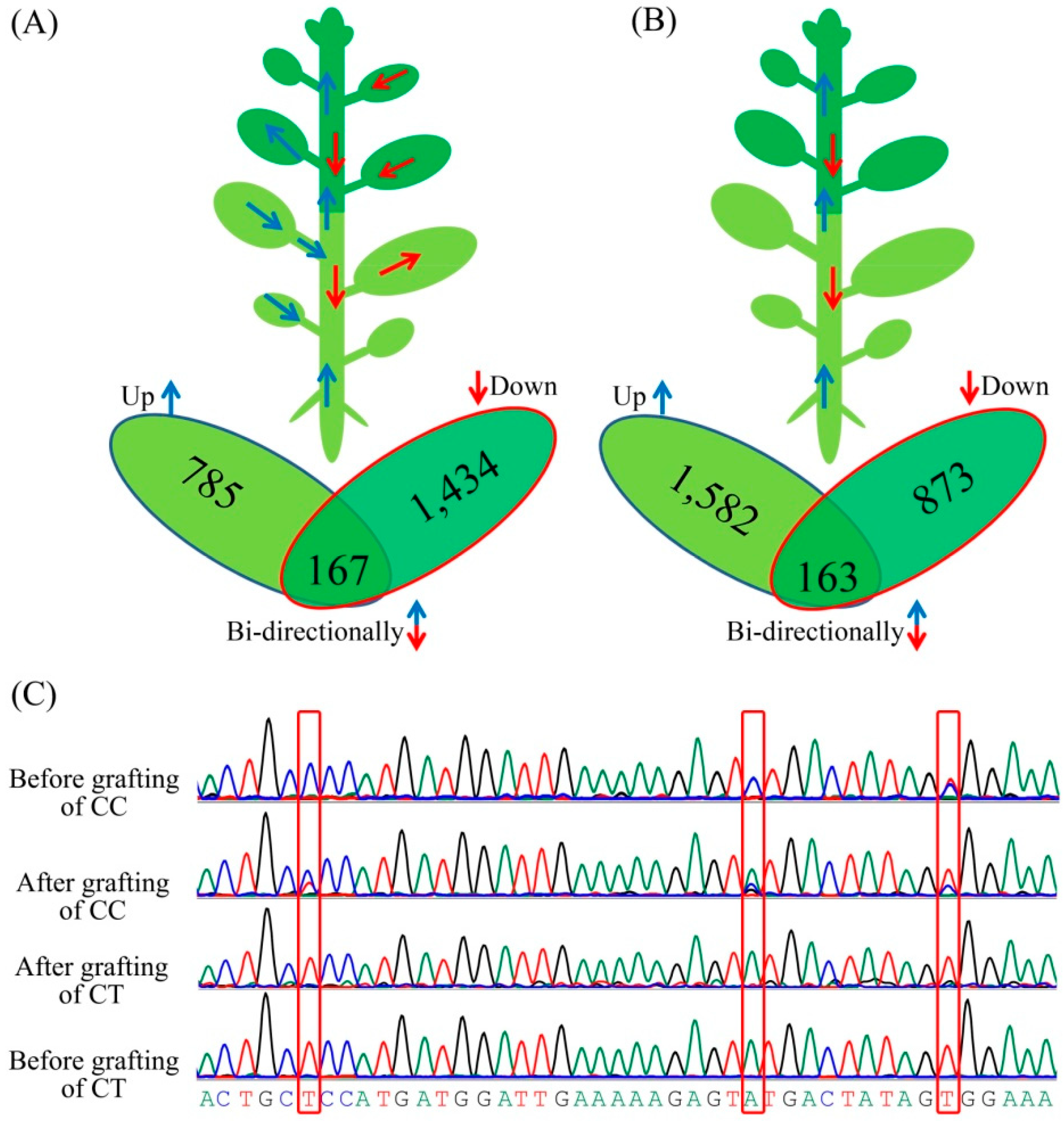 Biomolecules 08 00182 g004