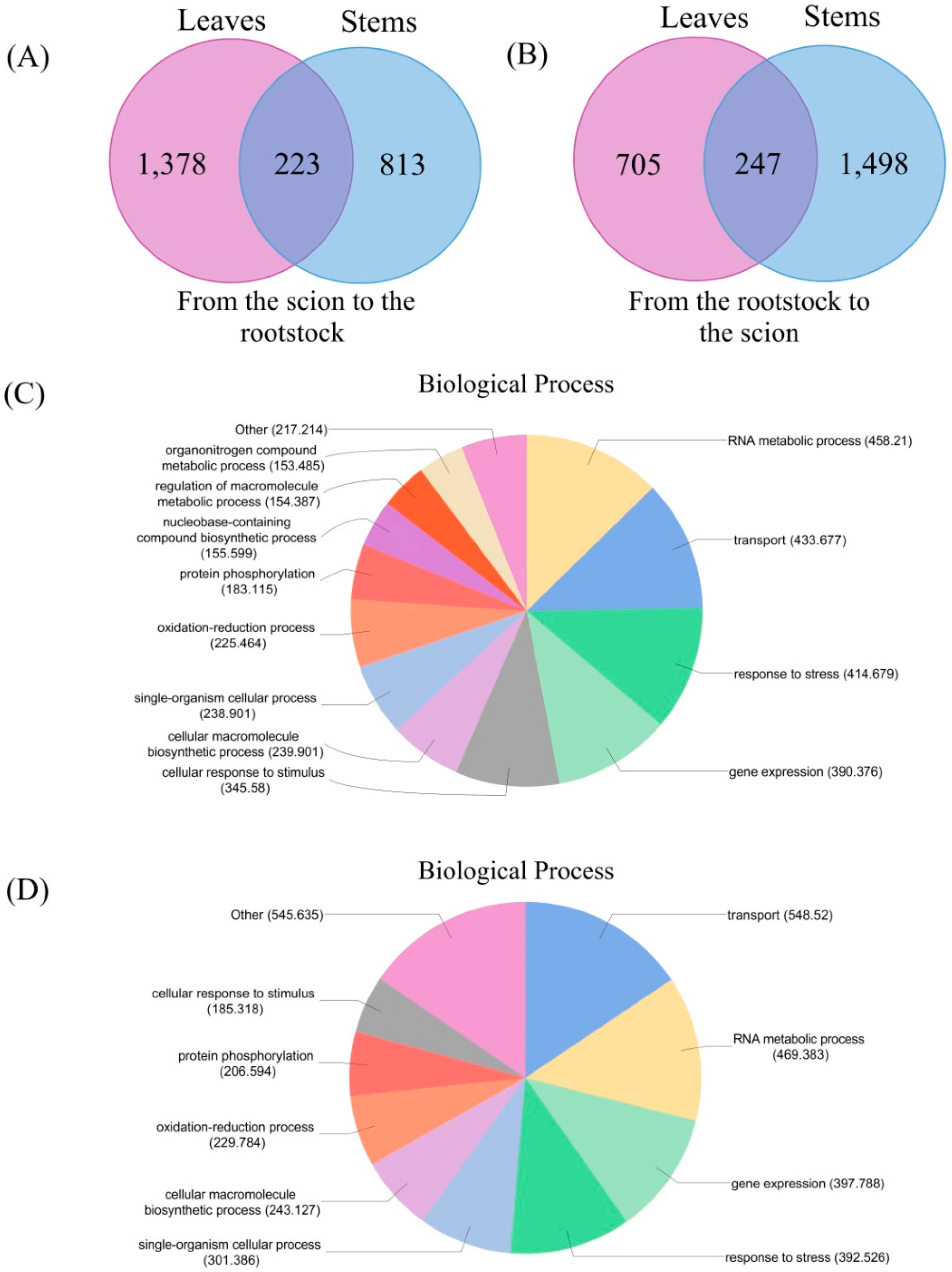 Biomolecules 08 00182 g005