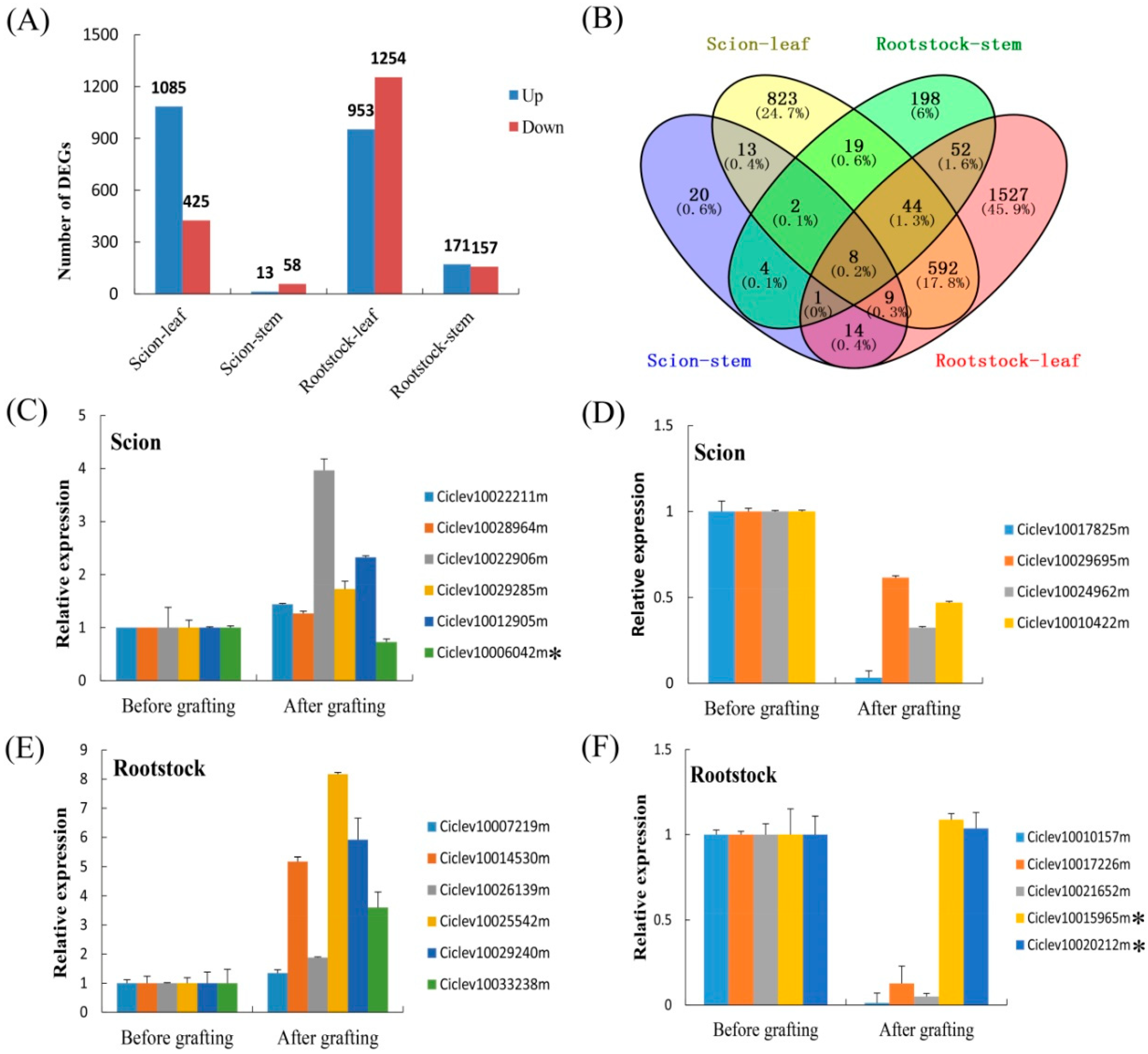 Biomolecules 08 00182 g006