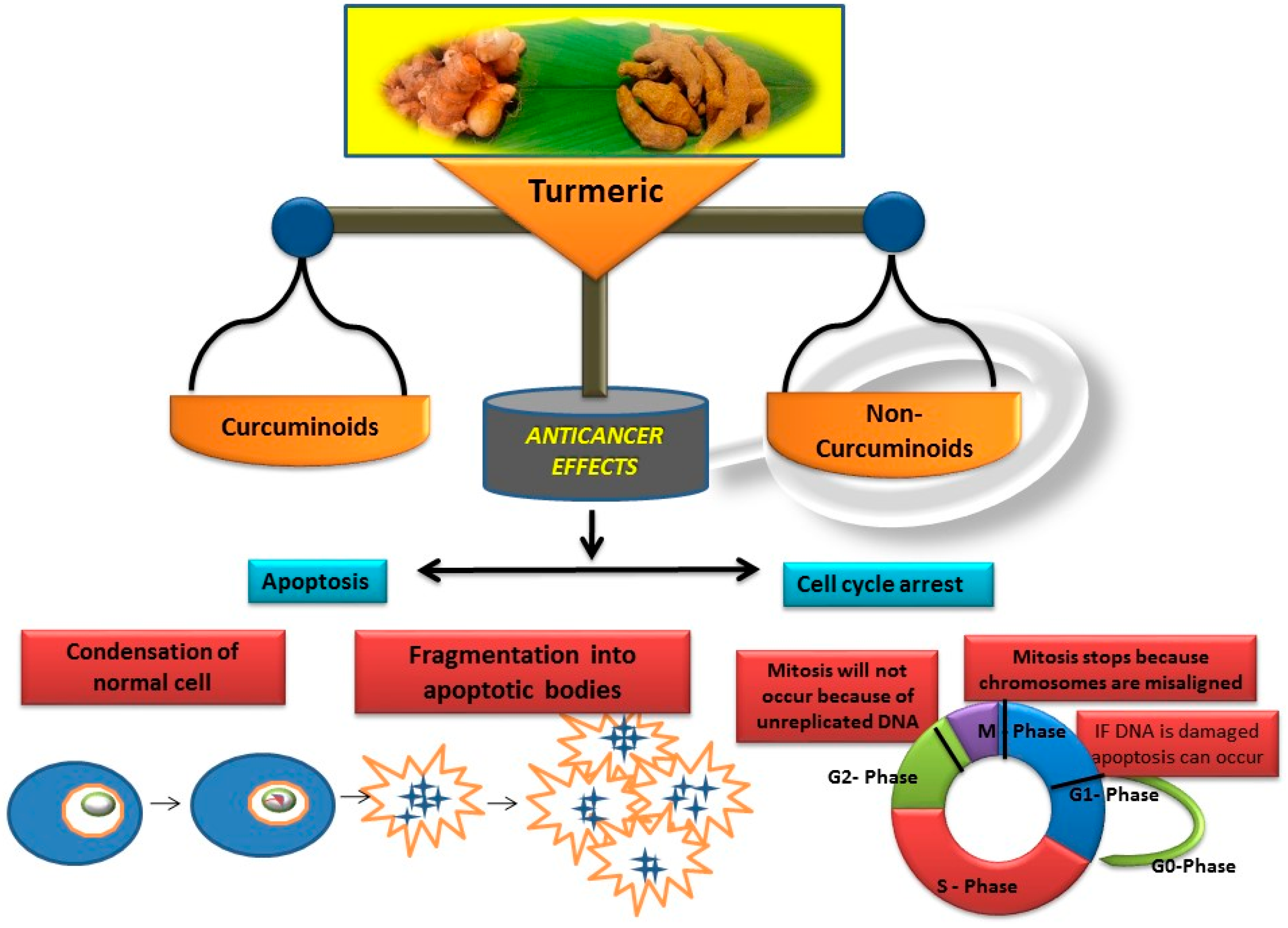 Biomolecules 09 00013 g001