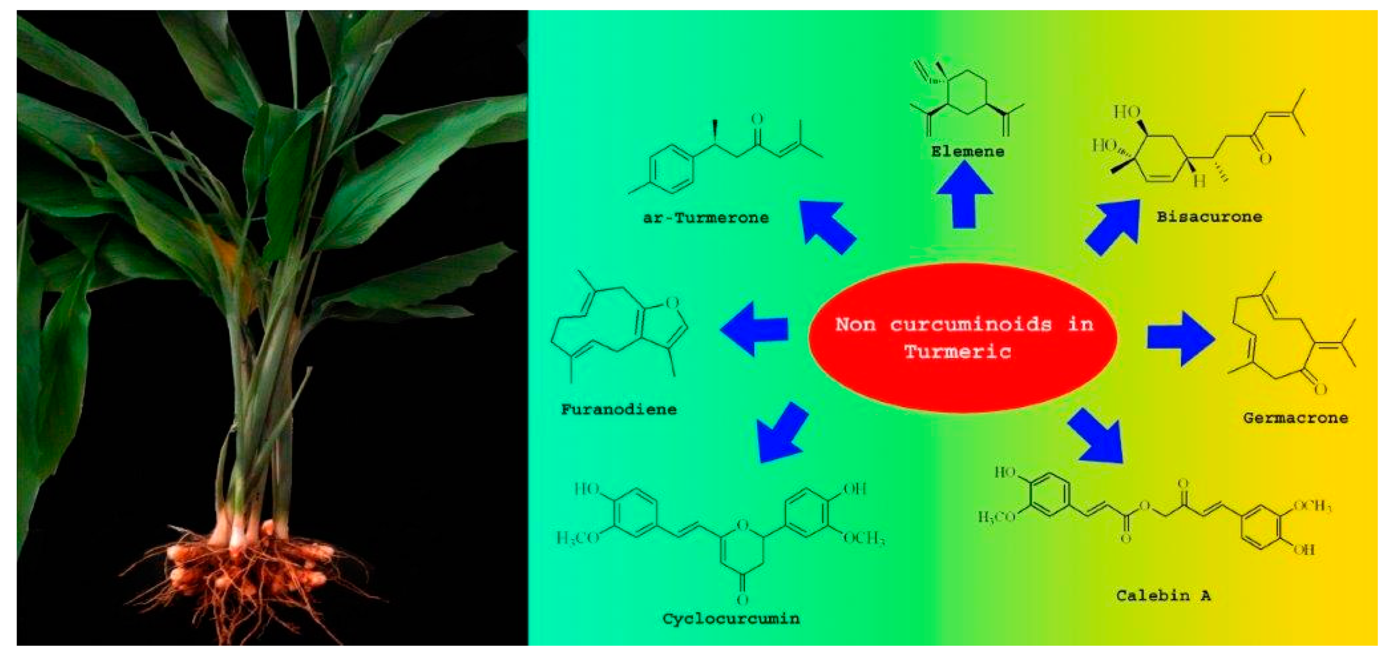 Biomolecules 09 00013 g002