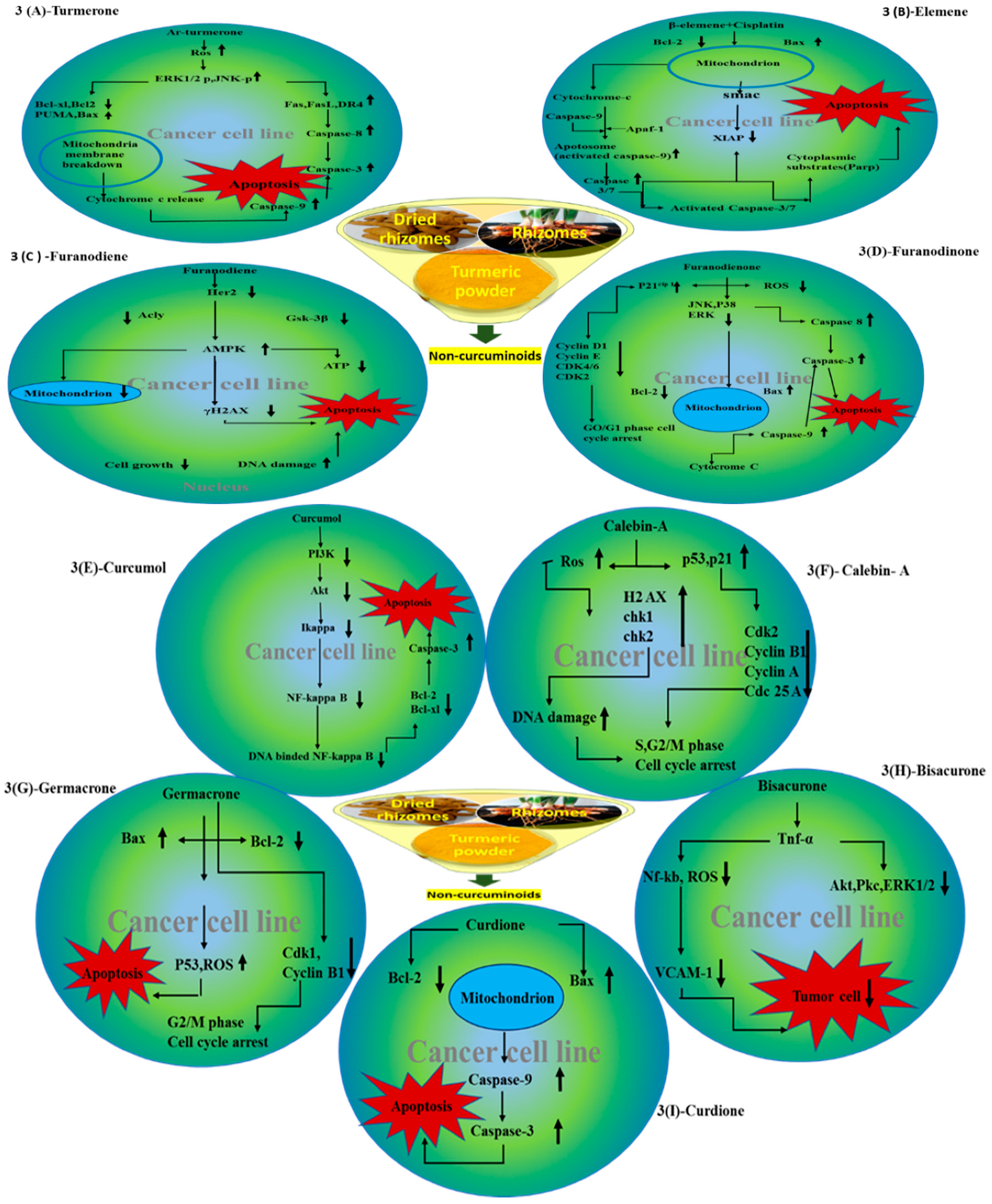 Biomolecules 09 00013 g003