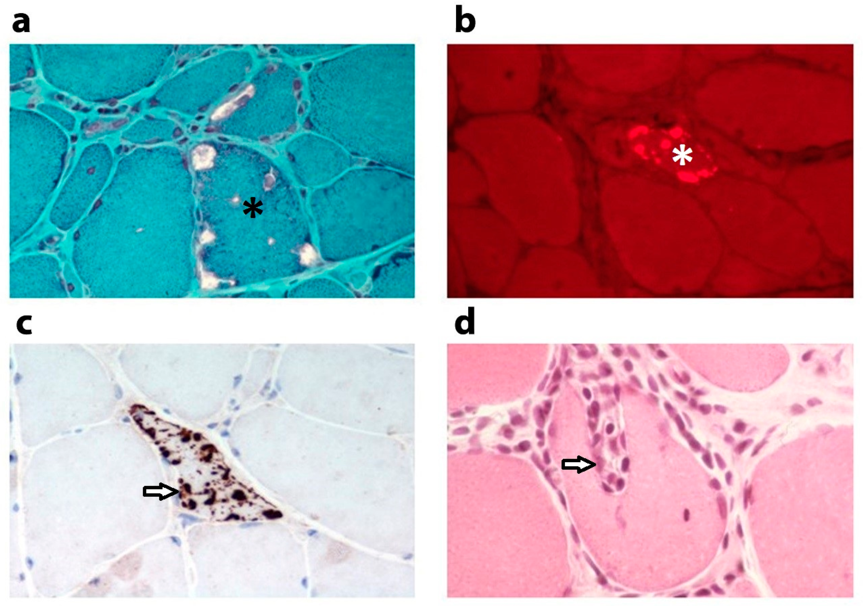 Biomolecules 09 00015 g001 Biomolecules 09 00015 g001