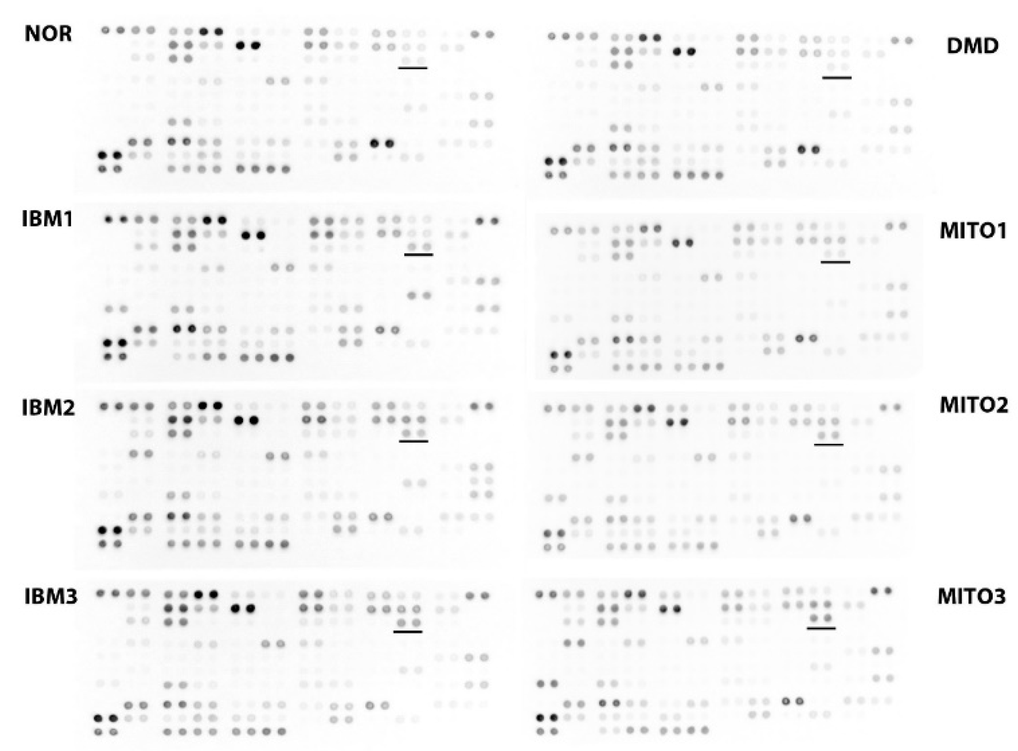 Biomolecules 09 00015 g003 Biomolecules 09 00015 g003