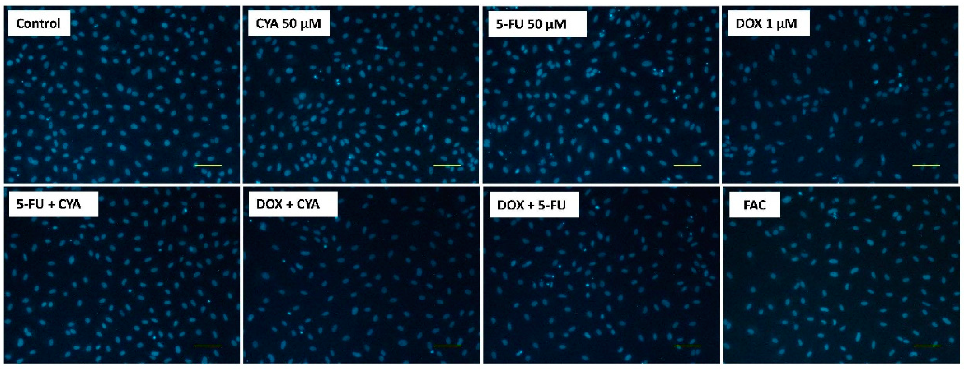 Biomolecules 09 00021 g009 Biomolecules 09 00021 g009