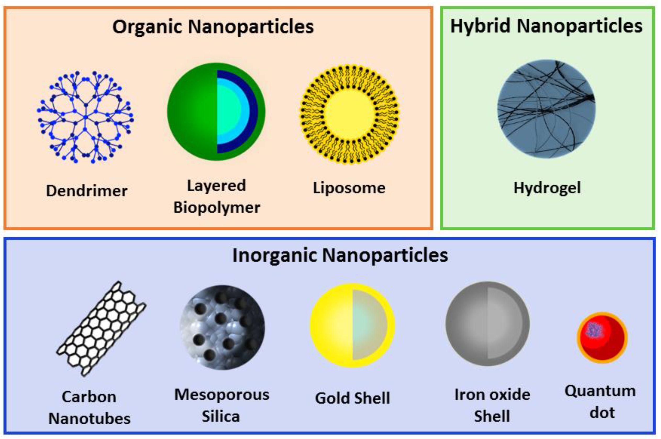 Biomolecules 09 00022 g001