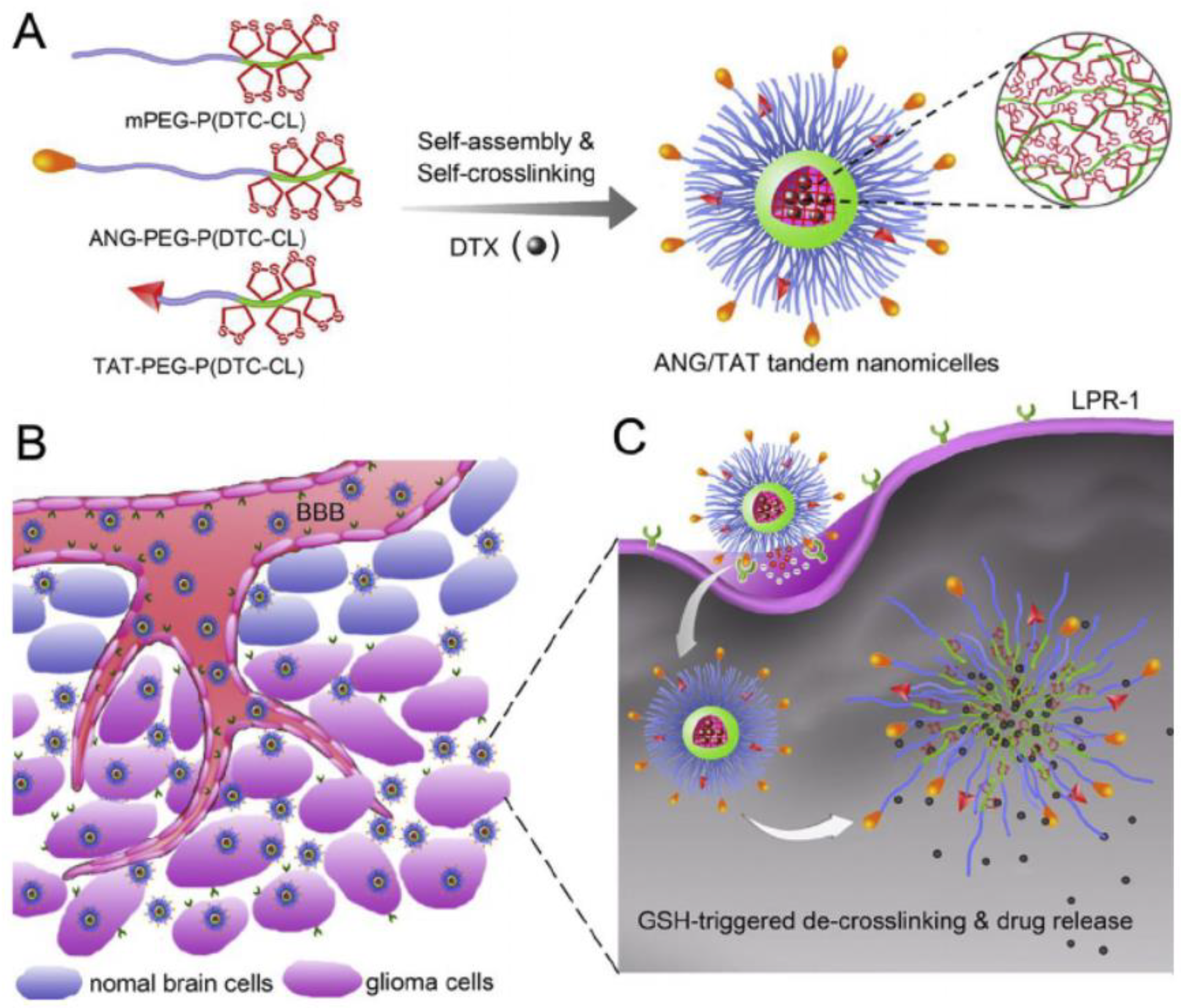 Biomolecules 09 00022 g004