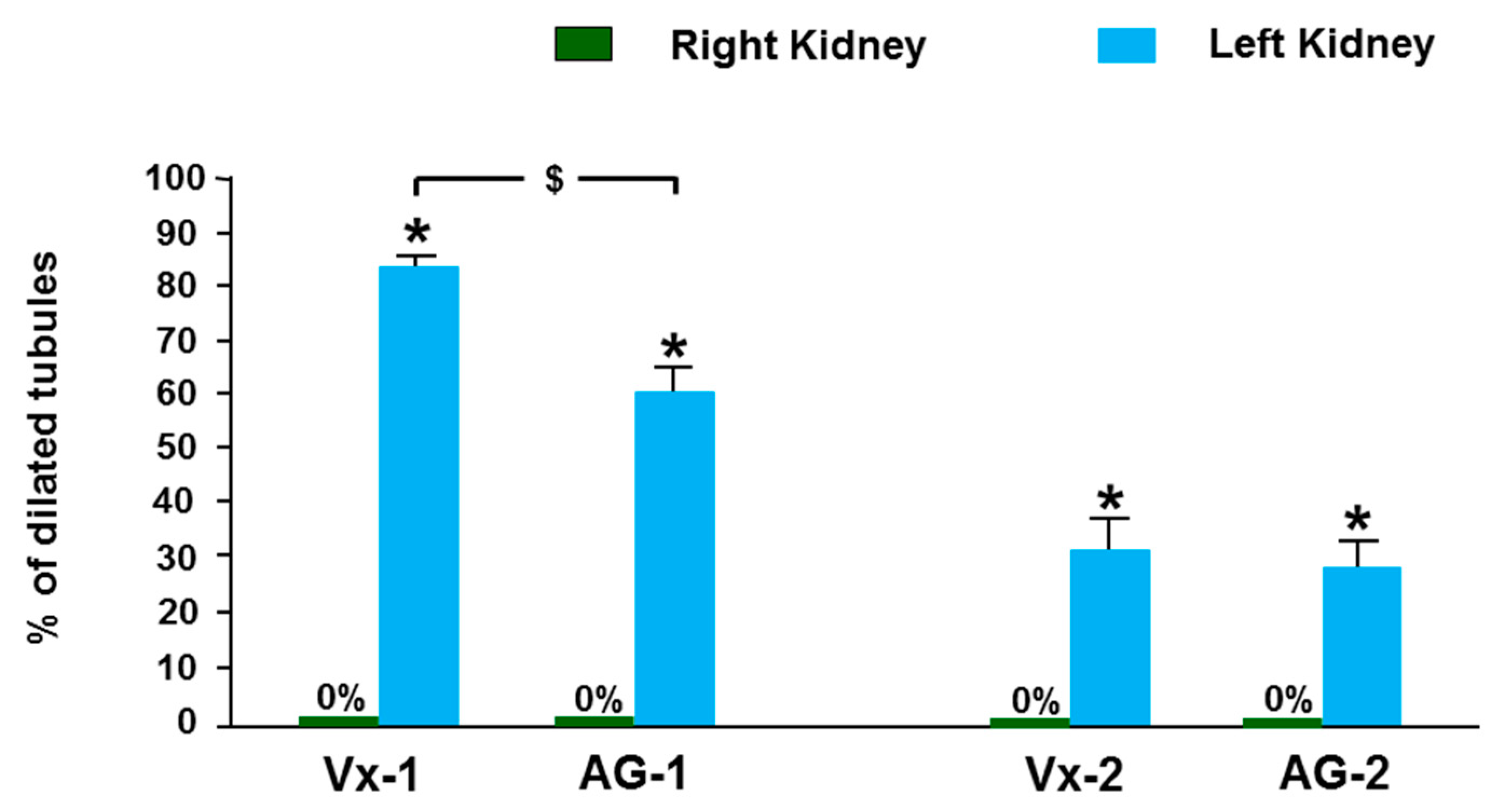 Biomolecules 09 00025 g007 Biomolecules 09 00025 g007
