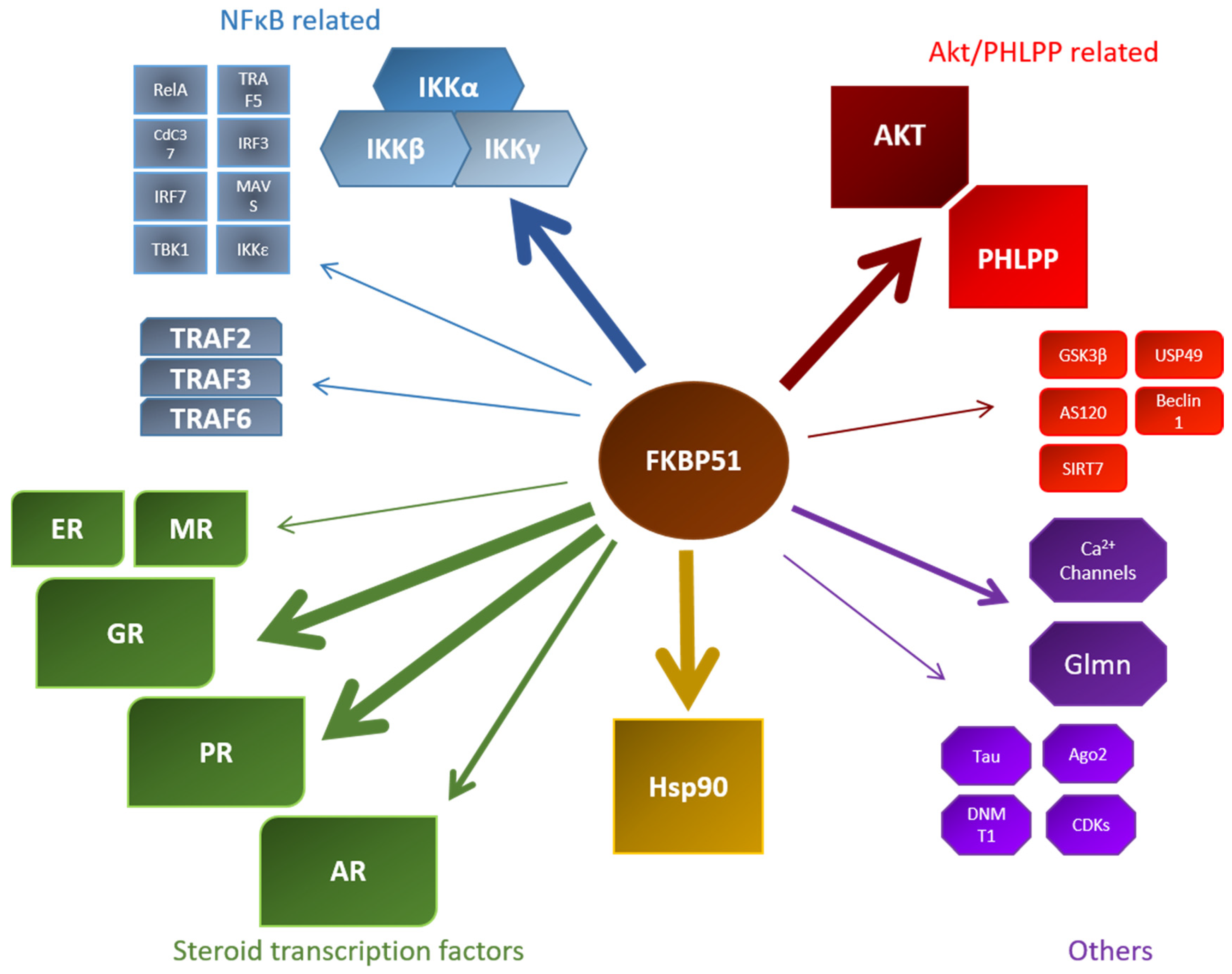 Biomolecules 09 00035 g004 Biomolecules 09 00035 g004