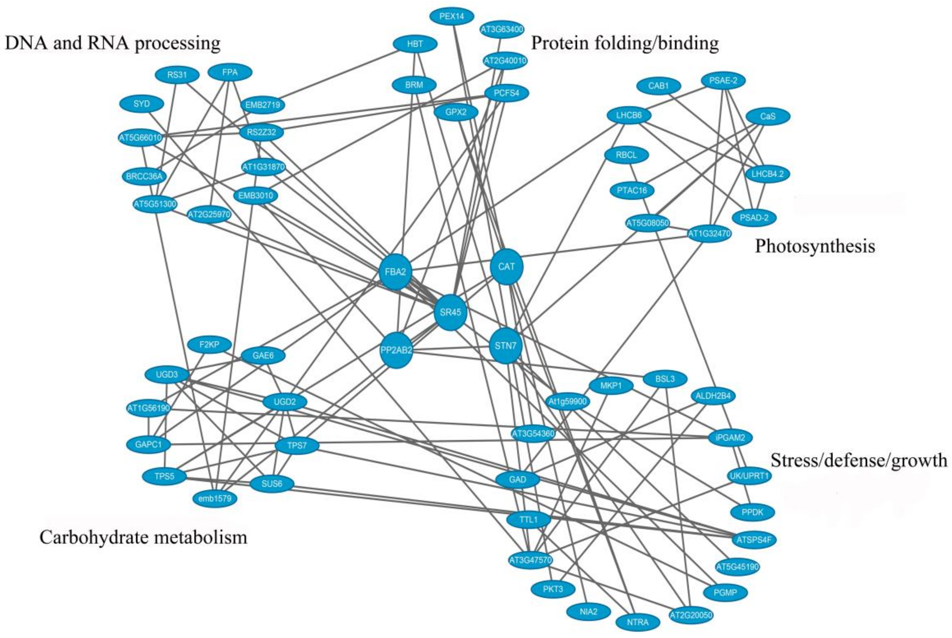 Biomolecules 09 00039 g007