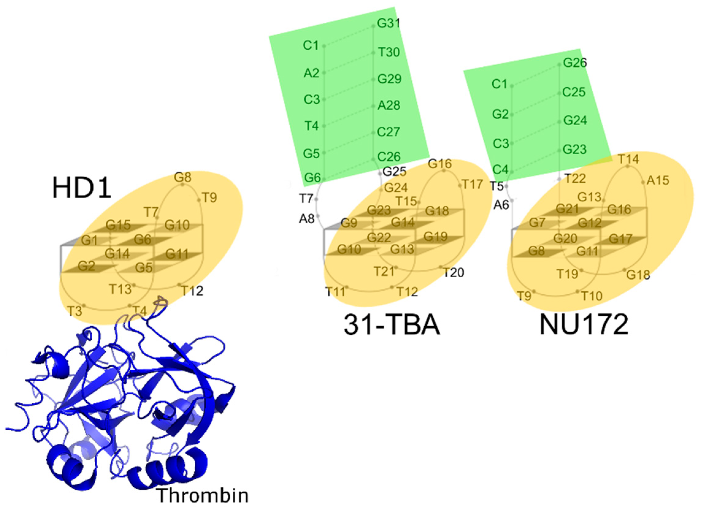Biomolecules 09 00041 g001