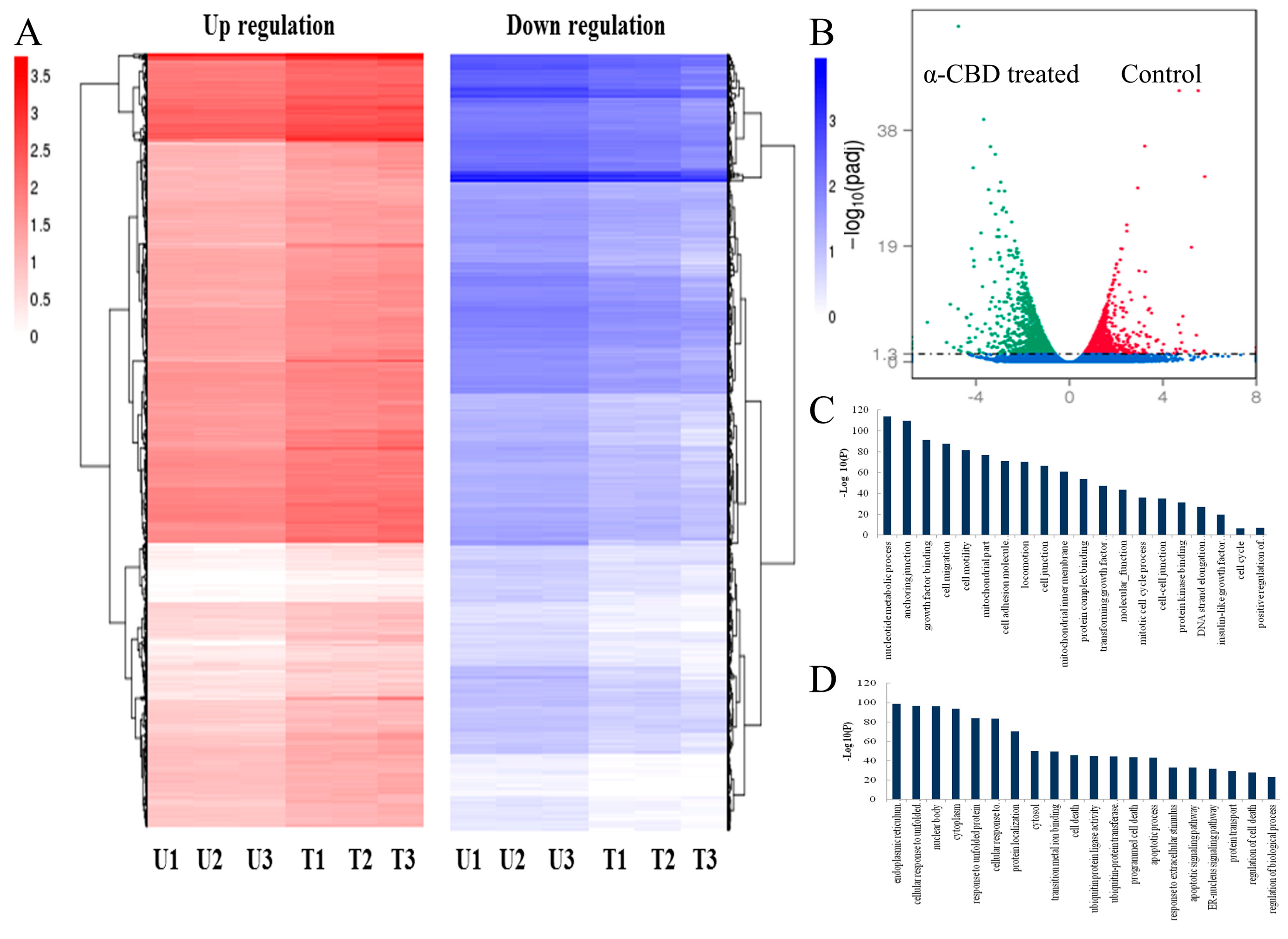 Biomolecules 09 00045 g005