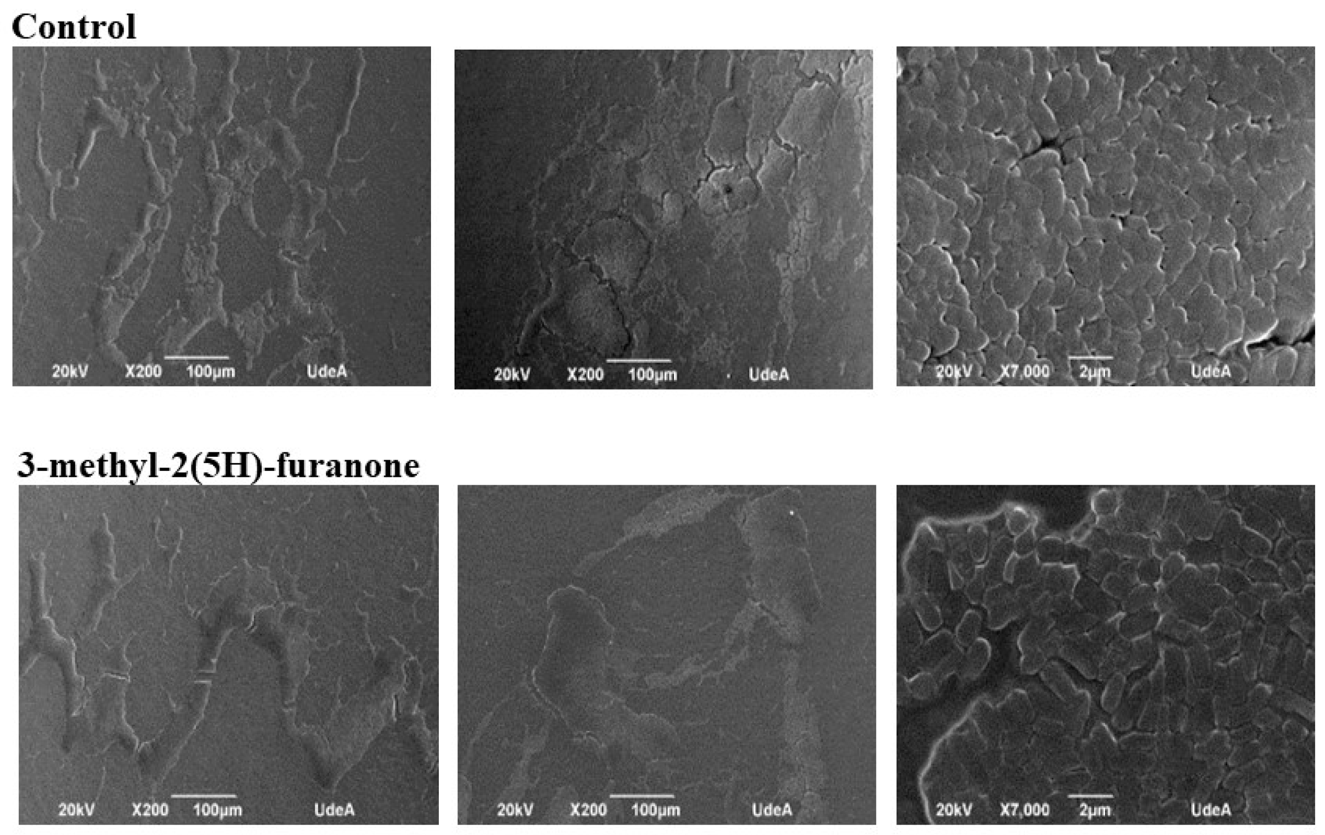 Biomolecules 09 00049 g005