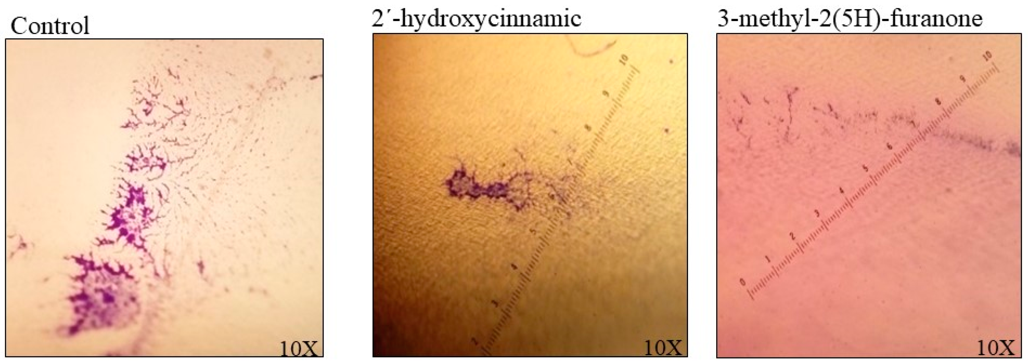 Biomolecules 09 00049 g007