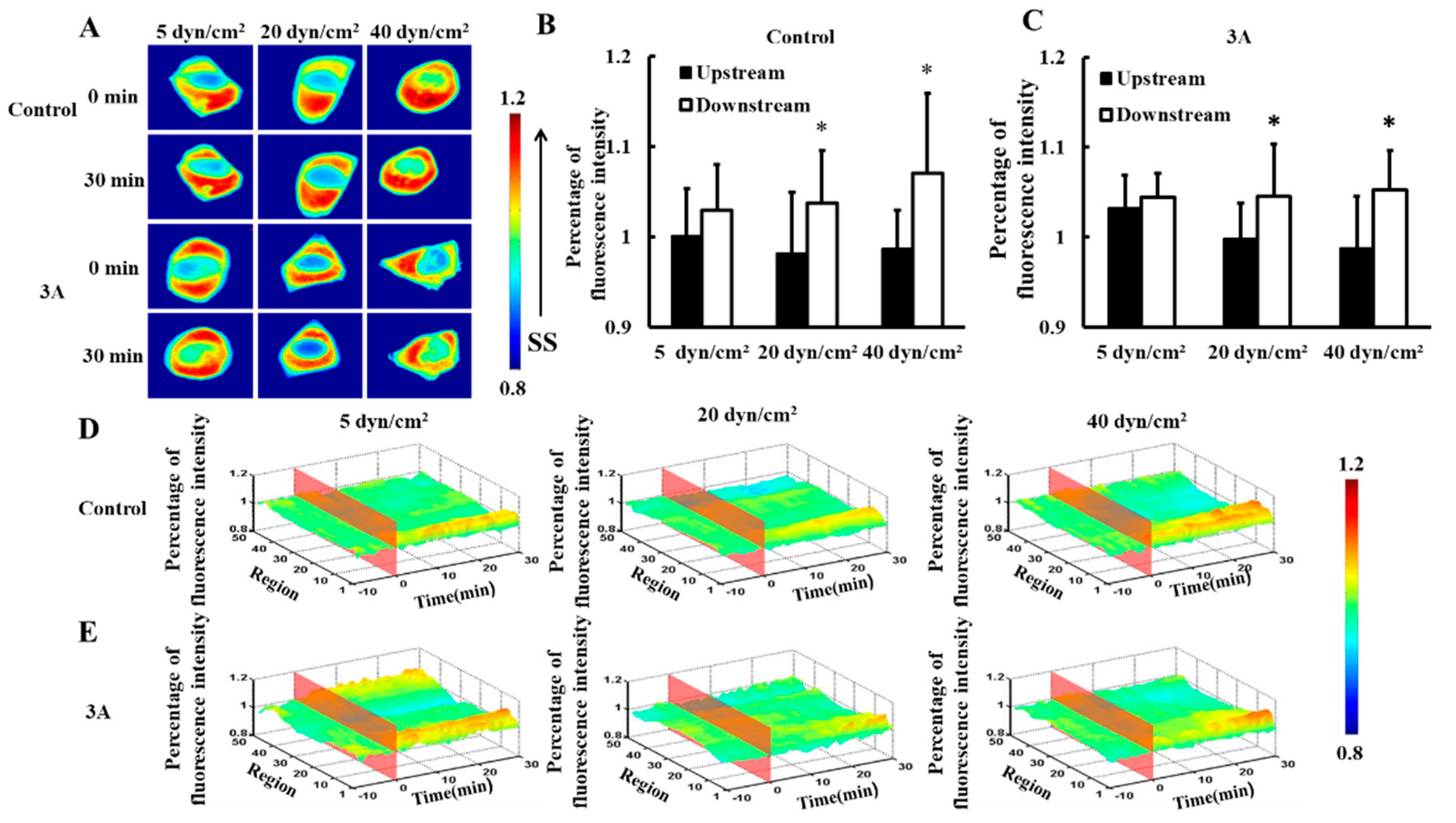Biomolecules 09 00050 g001