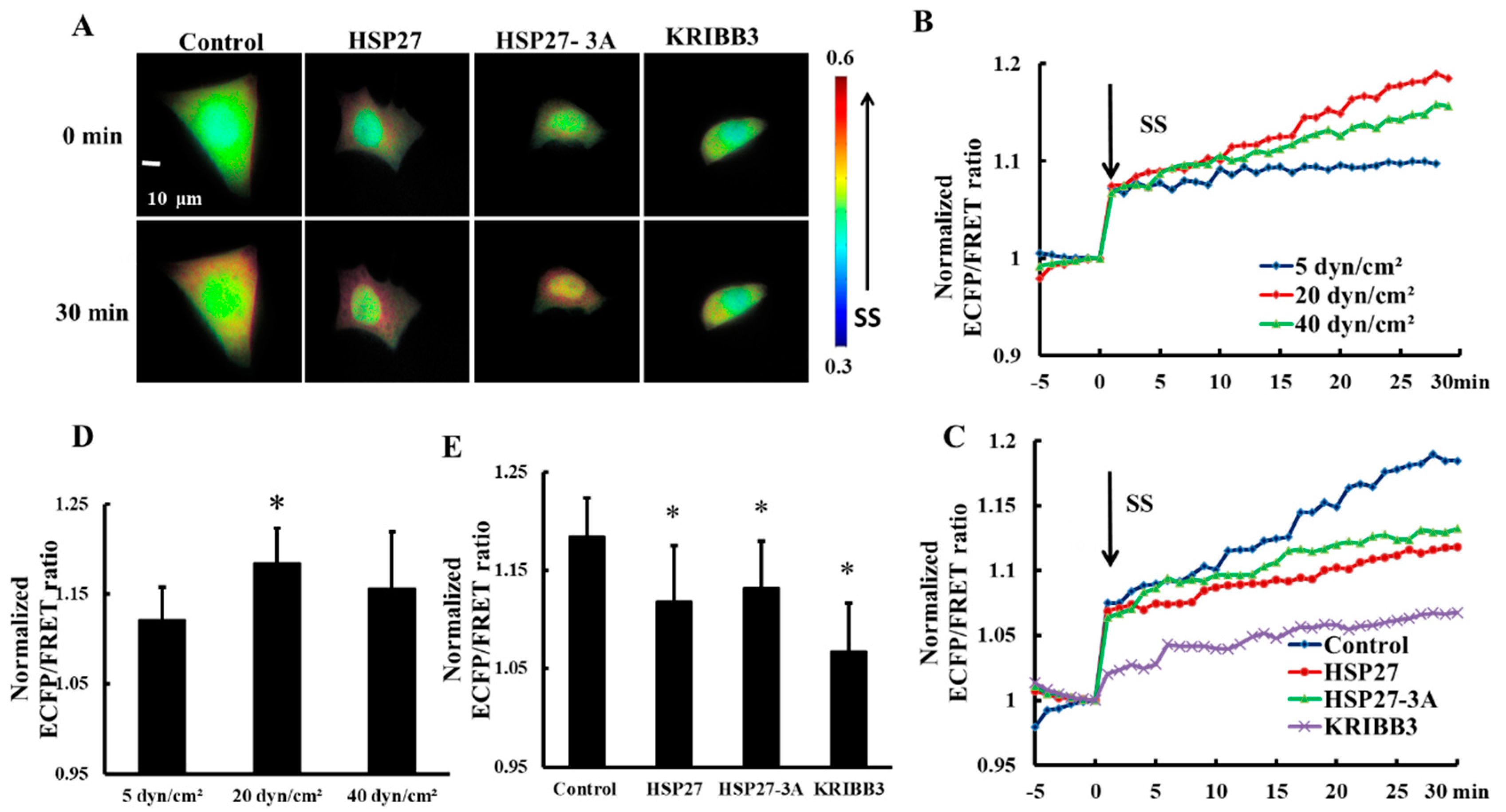 Biomolecules 09 00050 g004