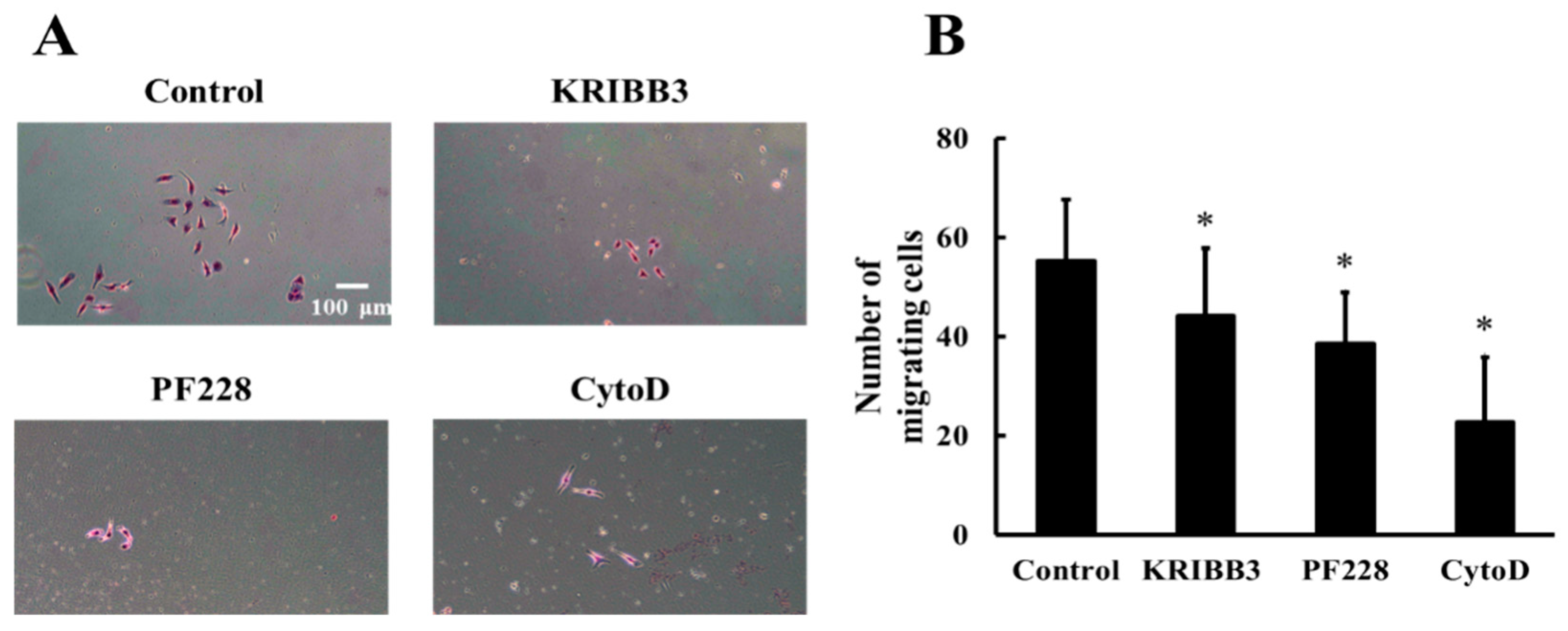 Biomolecules 09 00050 g007