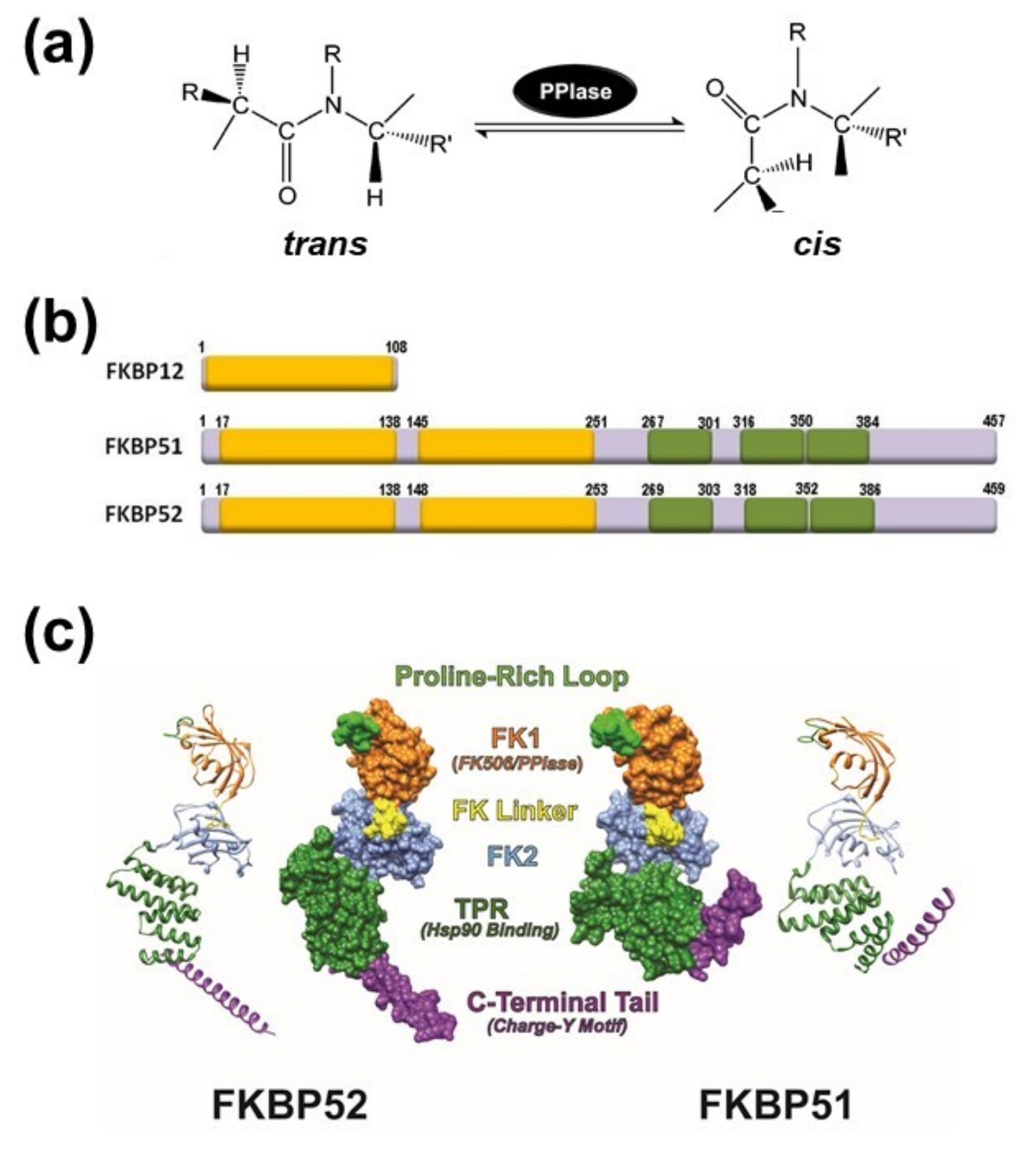 Biomolecules 09 00052 g001