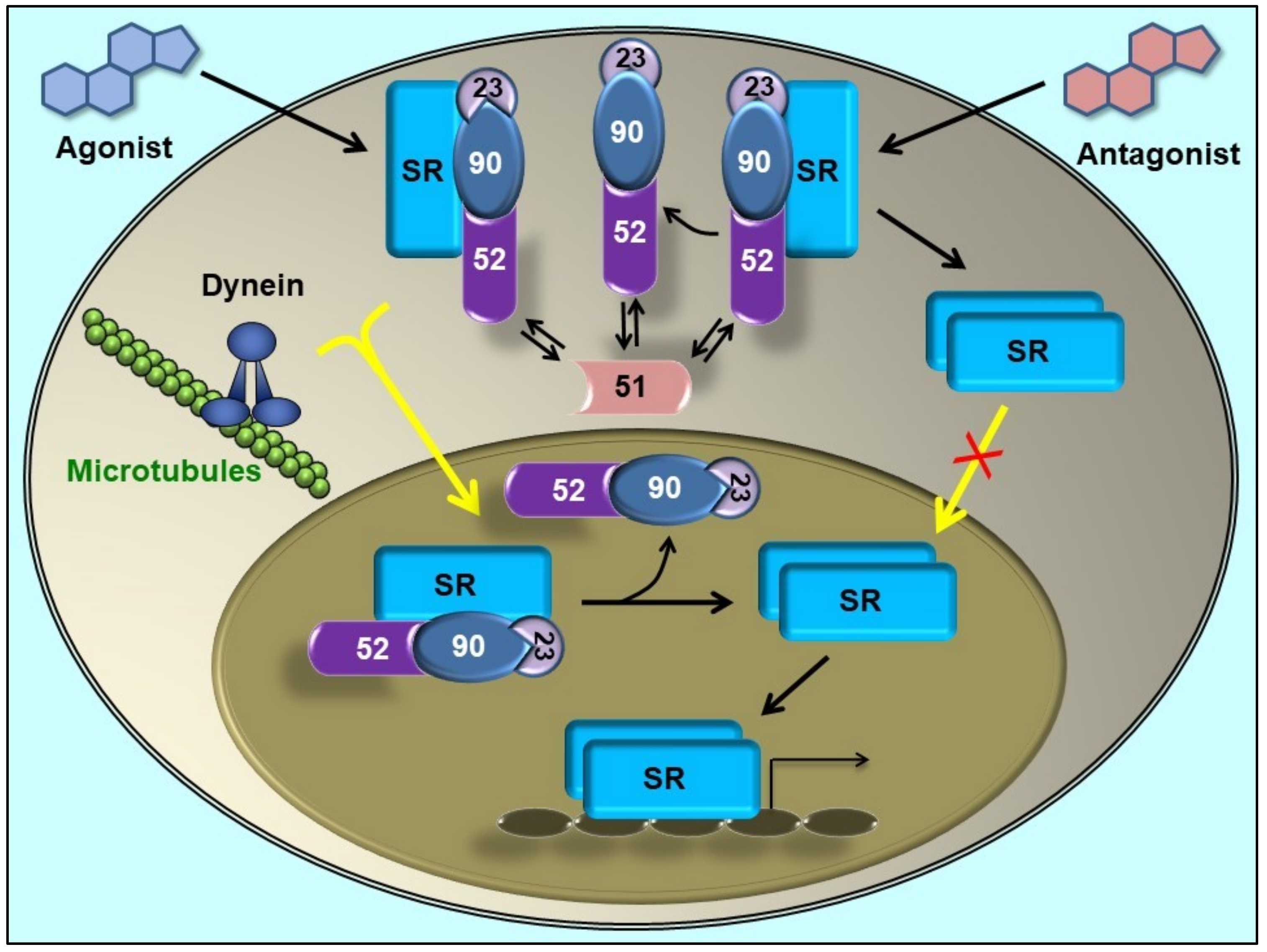 Biomolecules 09 00052 g002
