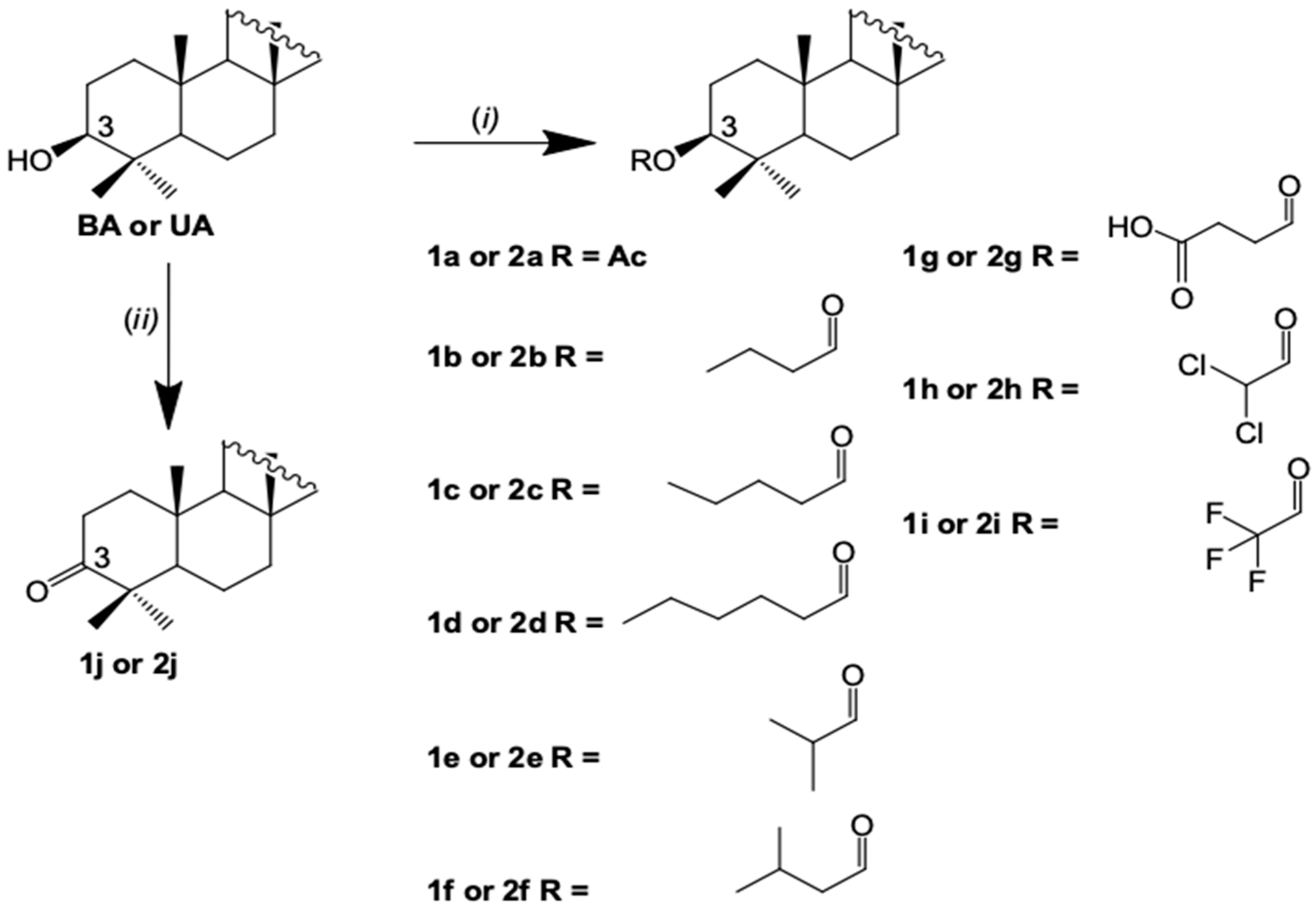 Biomolecules 09 00058 sch001 Biomolecules 09 00058 sch001