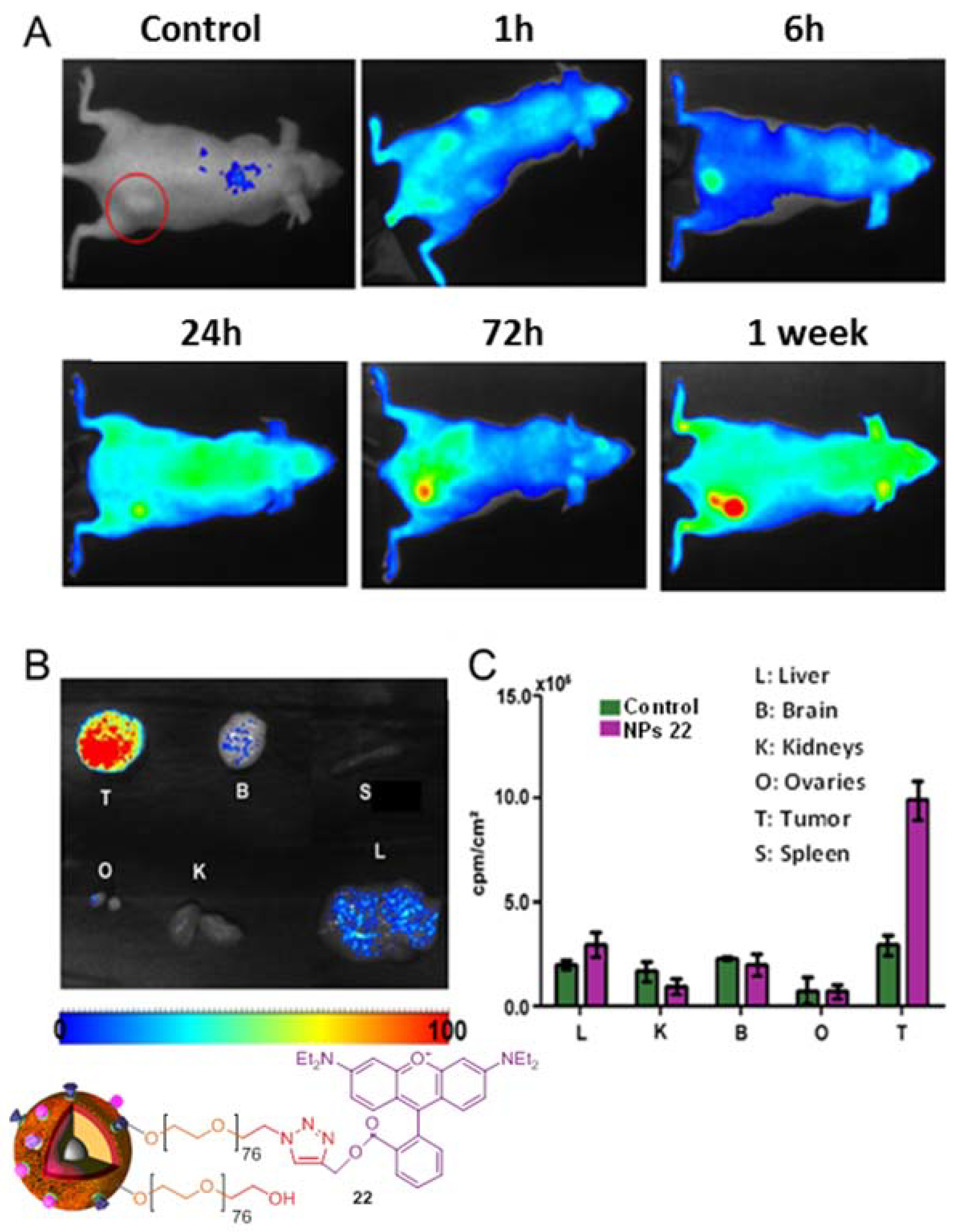 Biomolecules 09 00060 g003