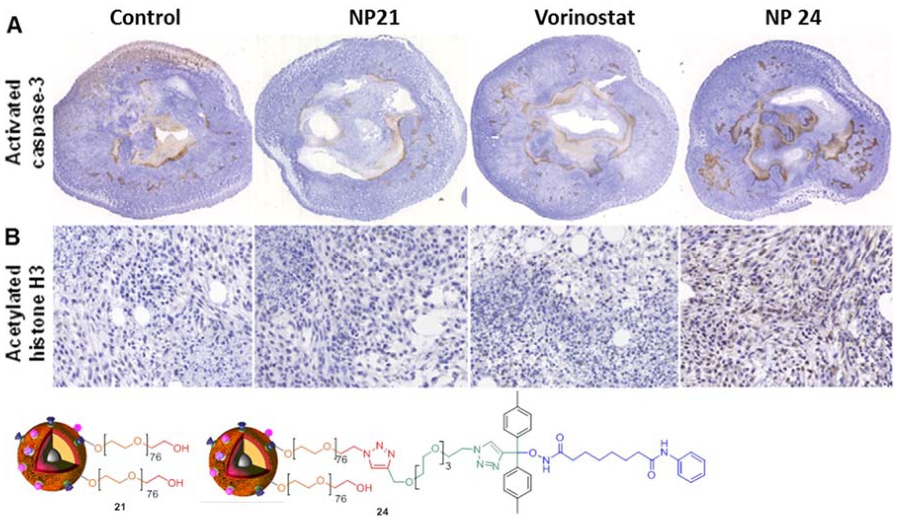 Biomolecules 09 00060 g005