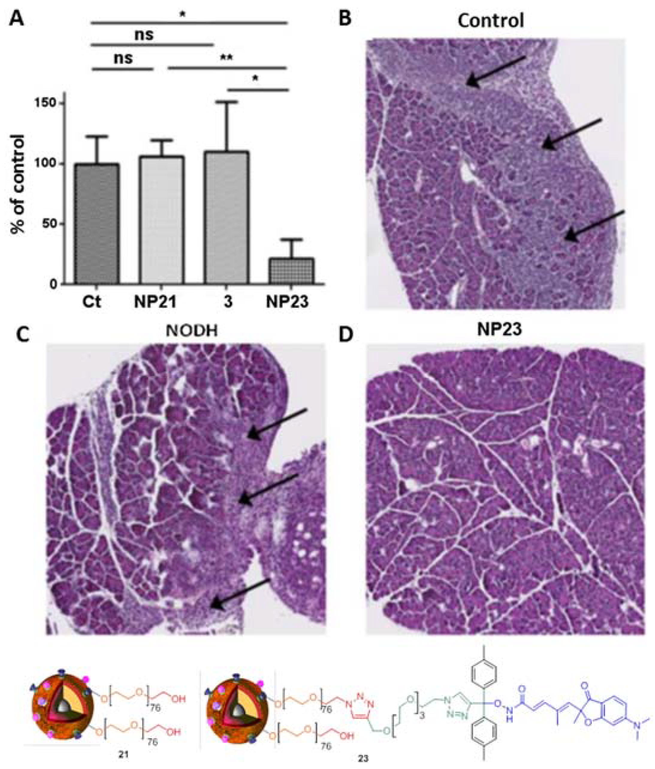 Biomolecules 09 00060 g006