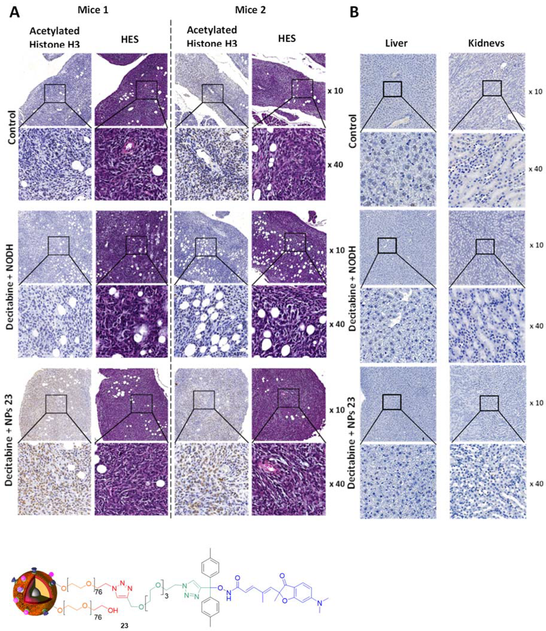 Biomolecules 09 00060 g007