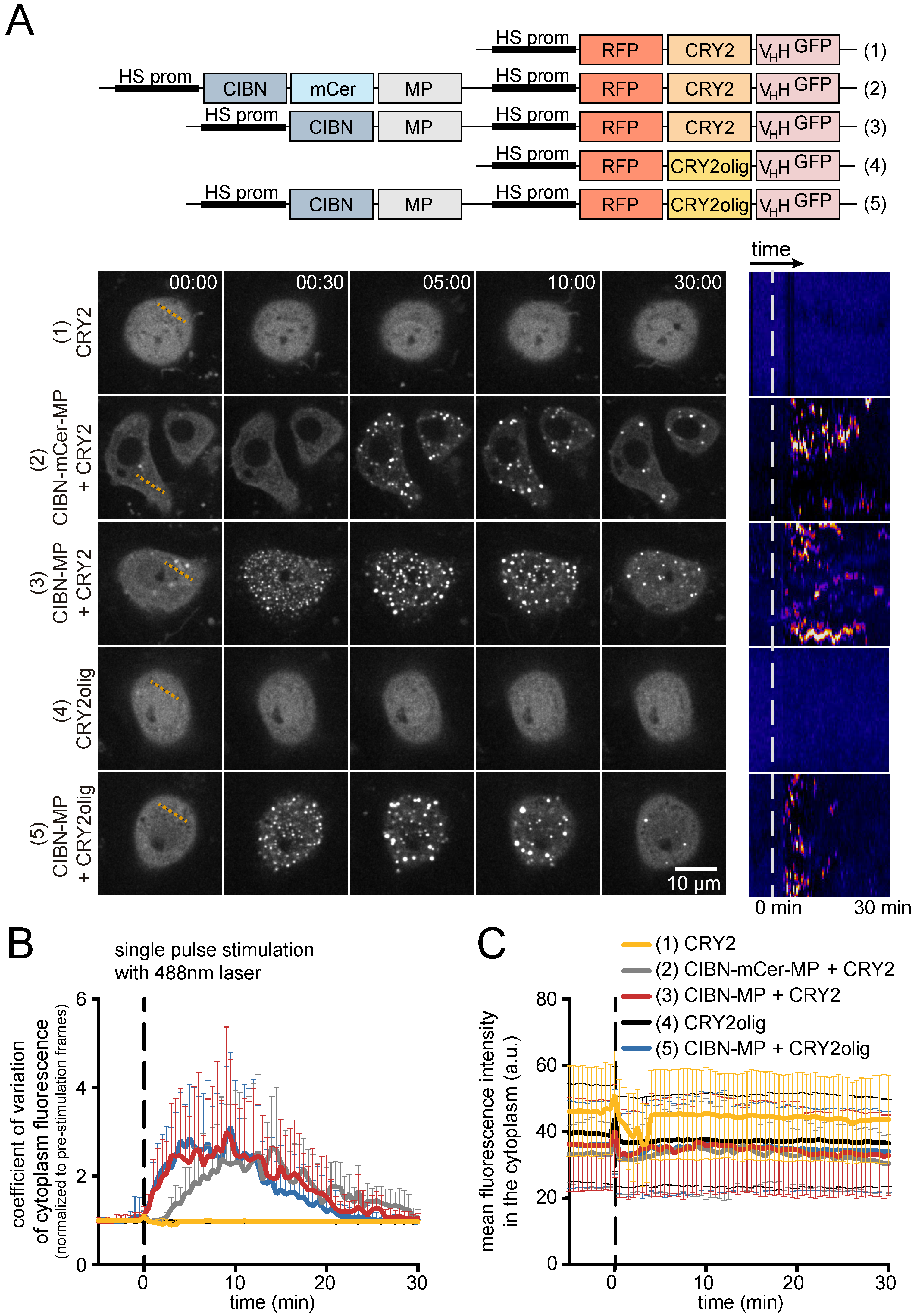 Biomolecules 09 00061 g003