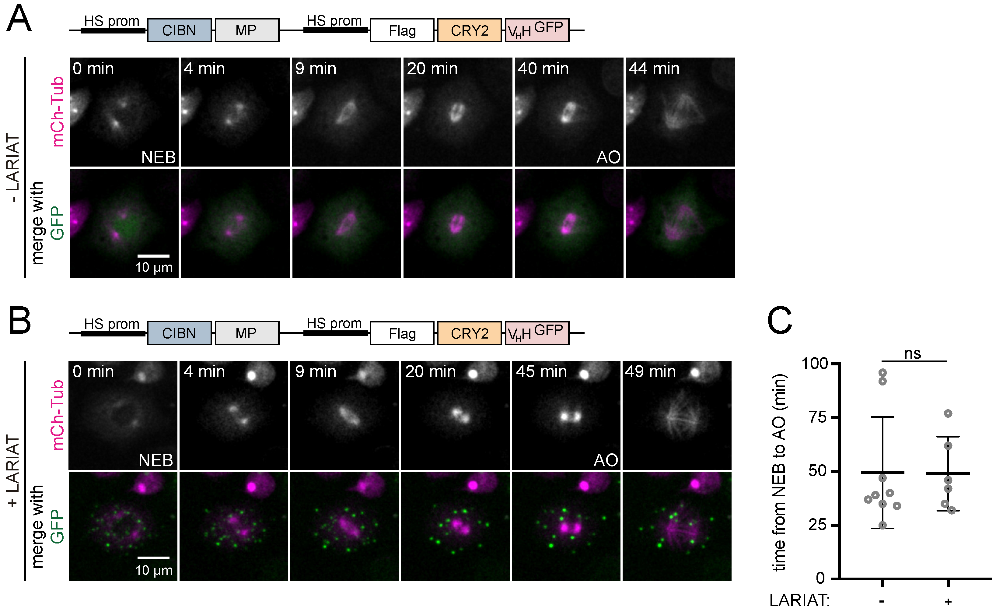 Biomolecules 09 00061 g004