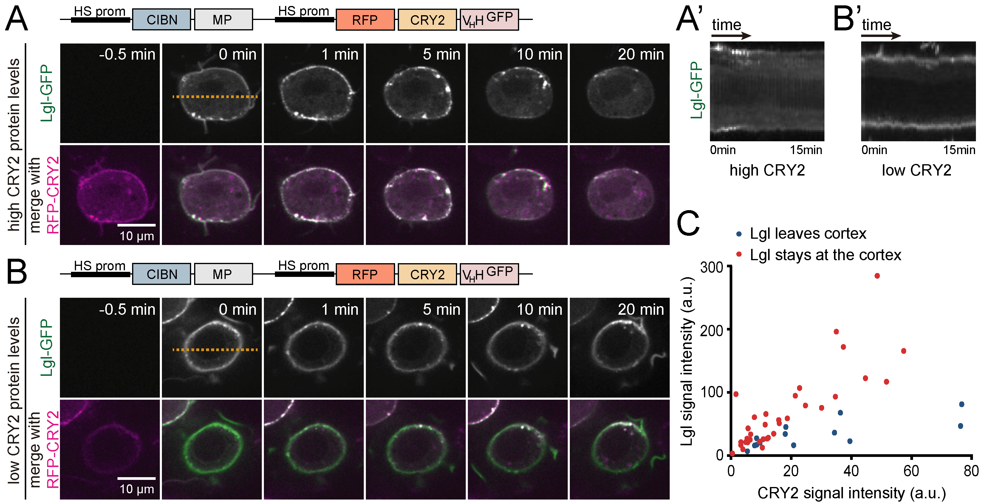 Biomolecules 09 00061 g006