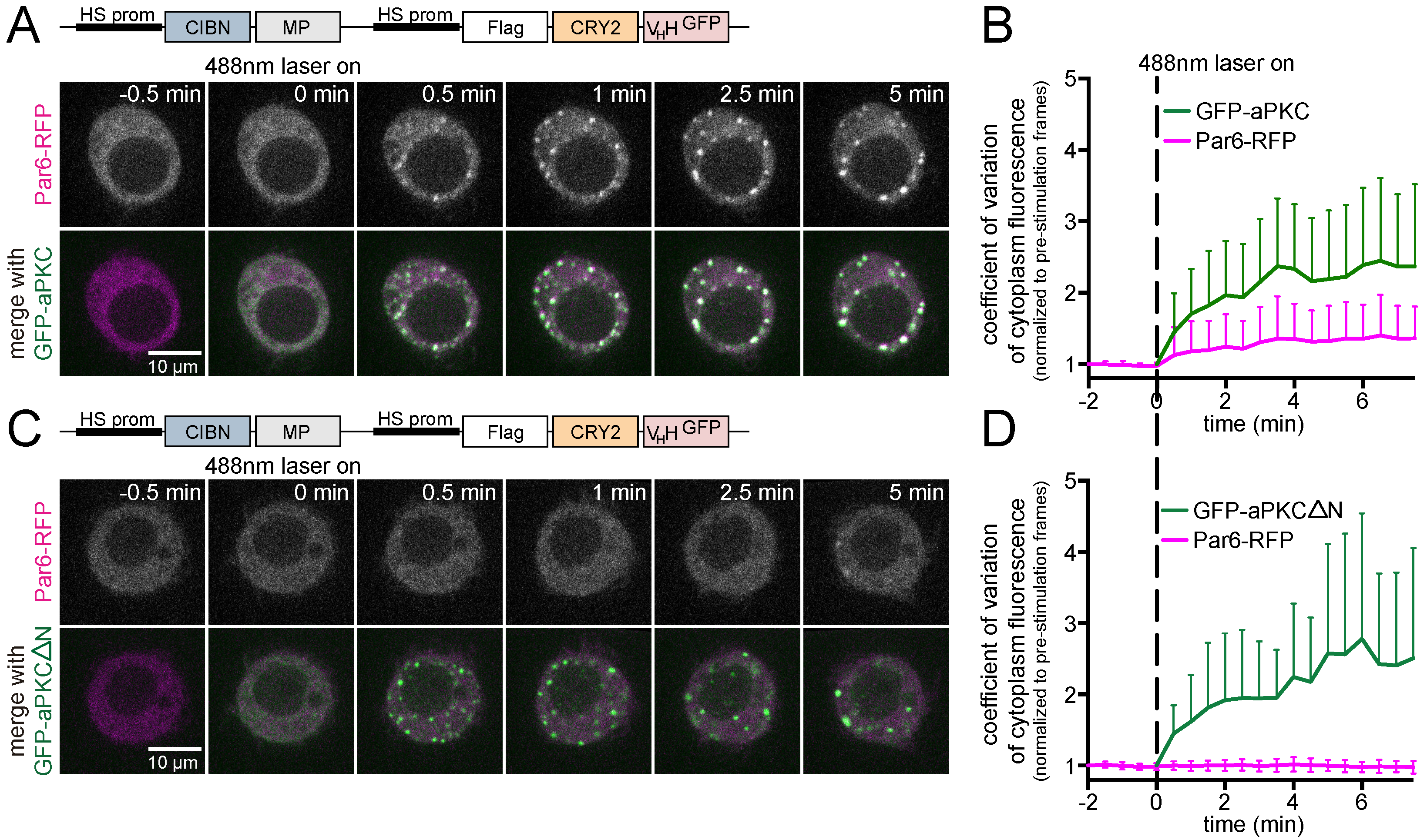 Biomolecules 09 00061 g007