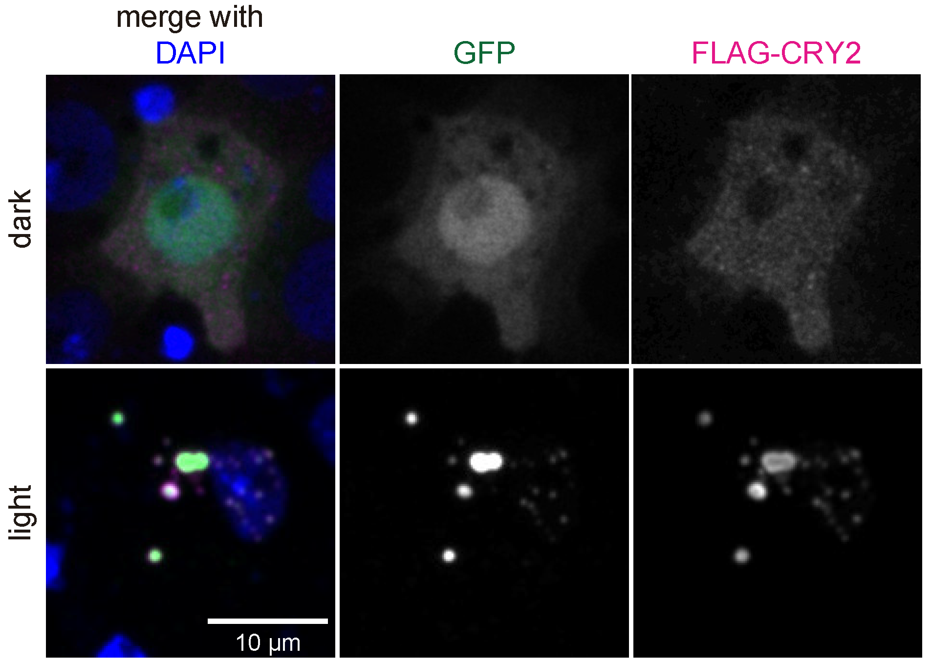Biomolecules 09 00061 g0a2