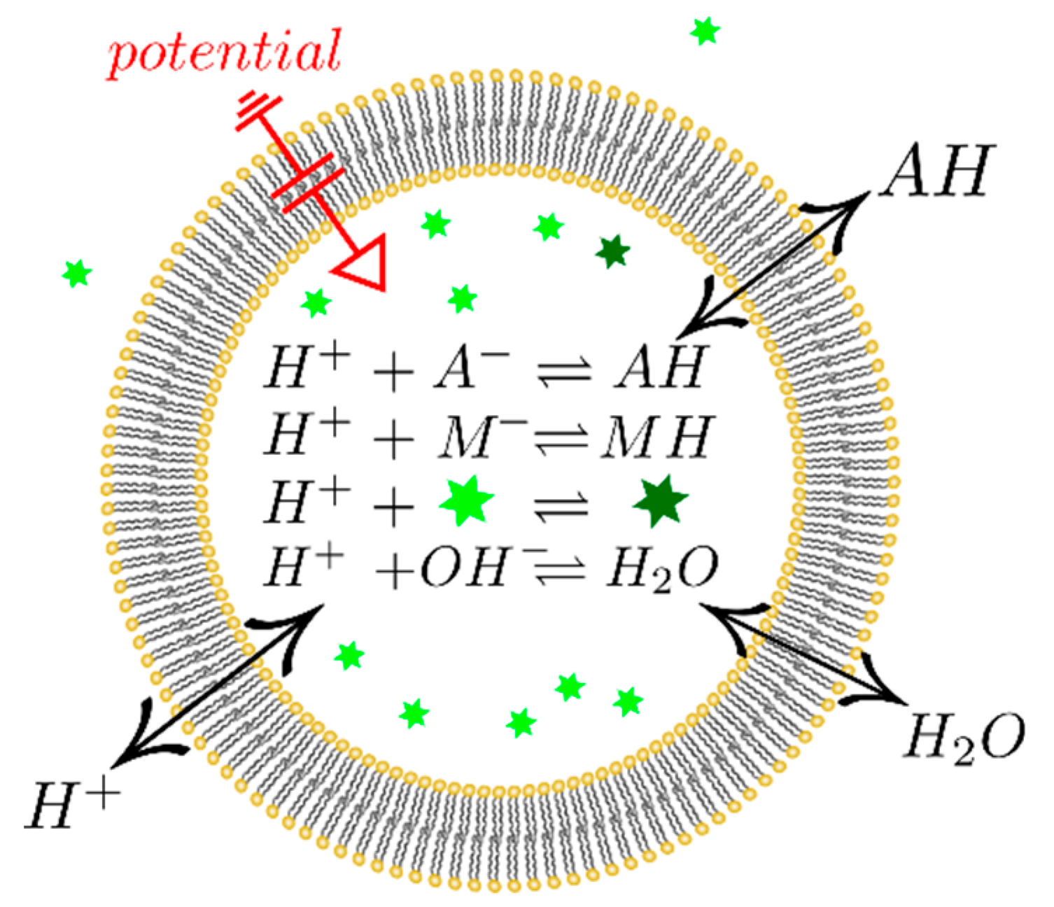 Biomolecules 09 00063 g001