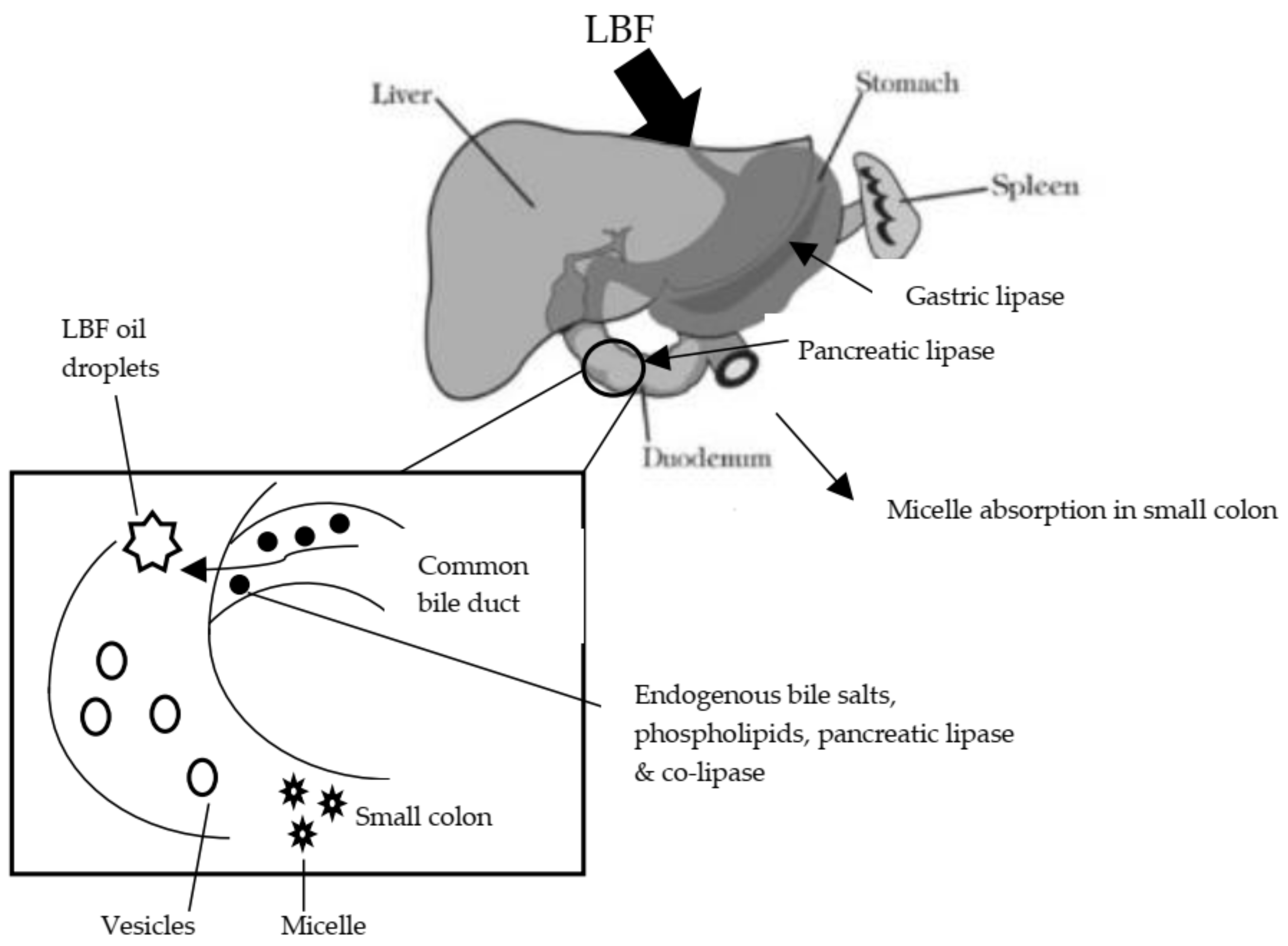 Biomolecules 09 00064 g003