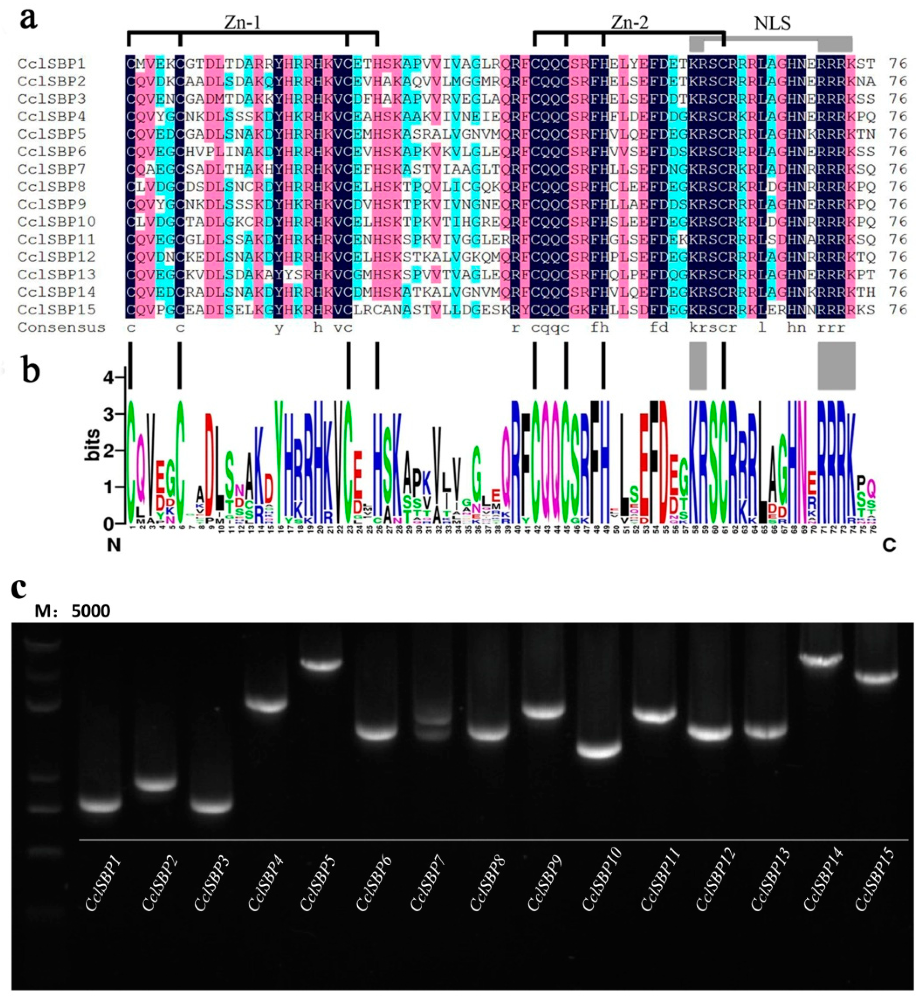 Biomolecules 09 00066 g001