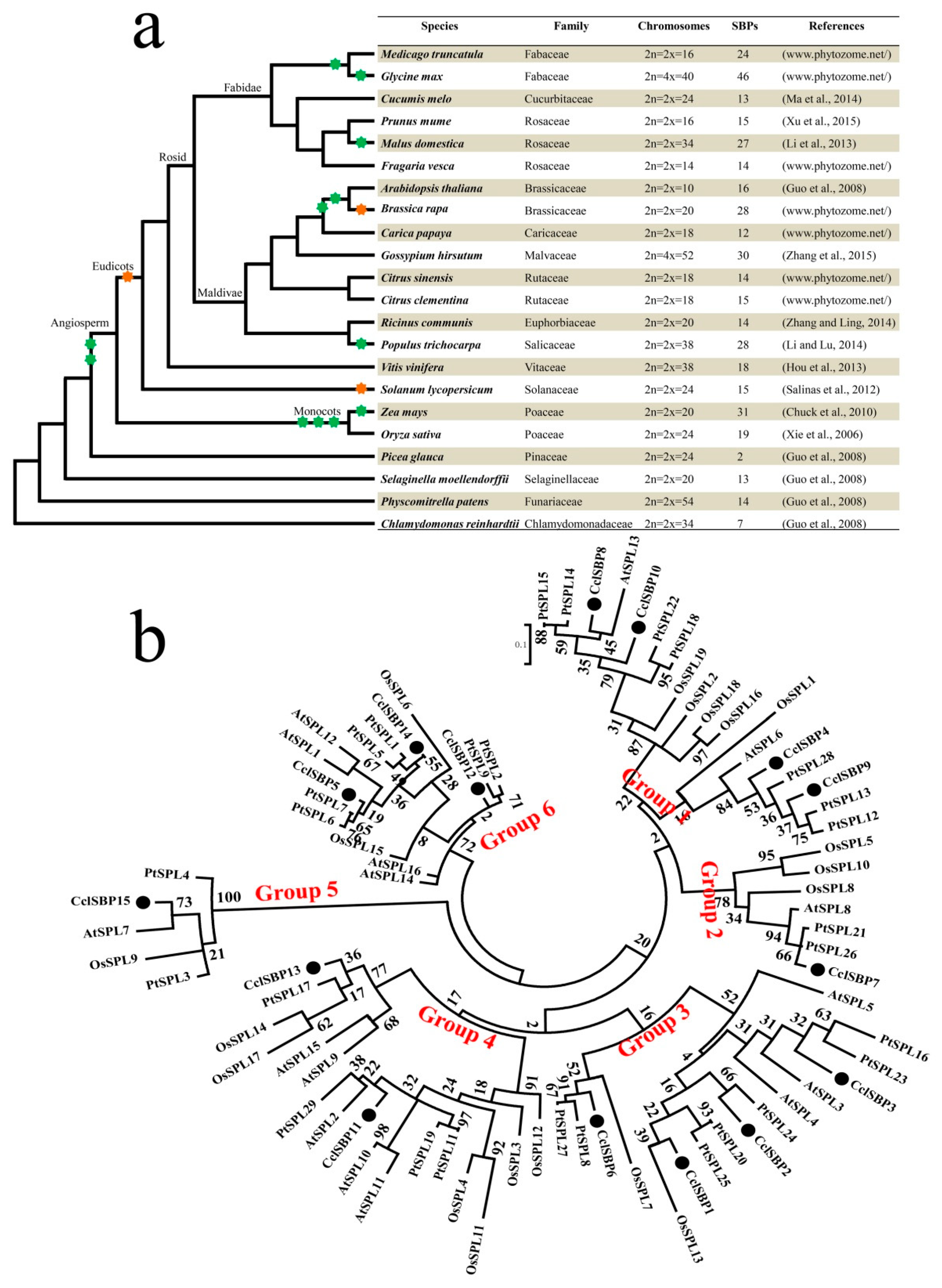 Biomolecules 09 00066 g003