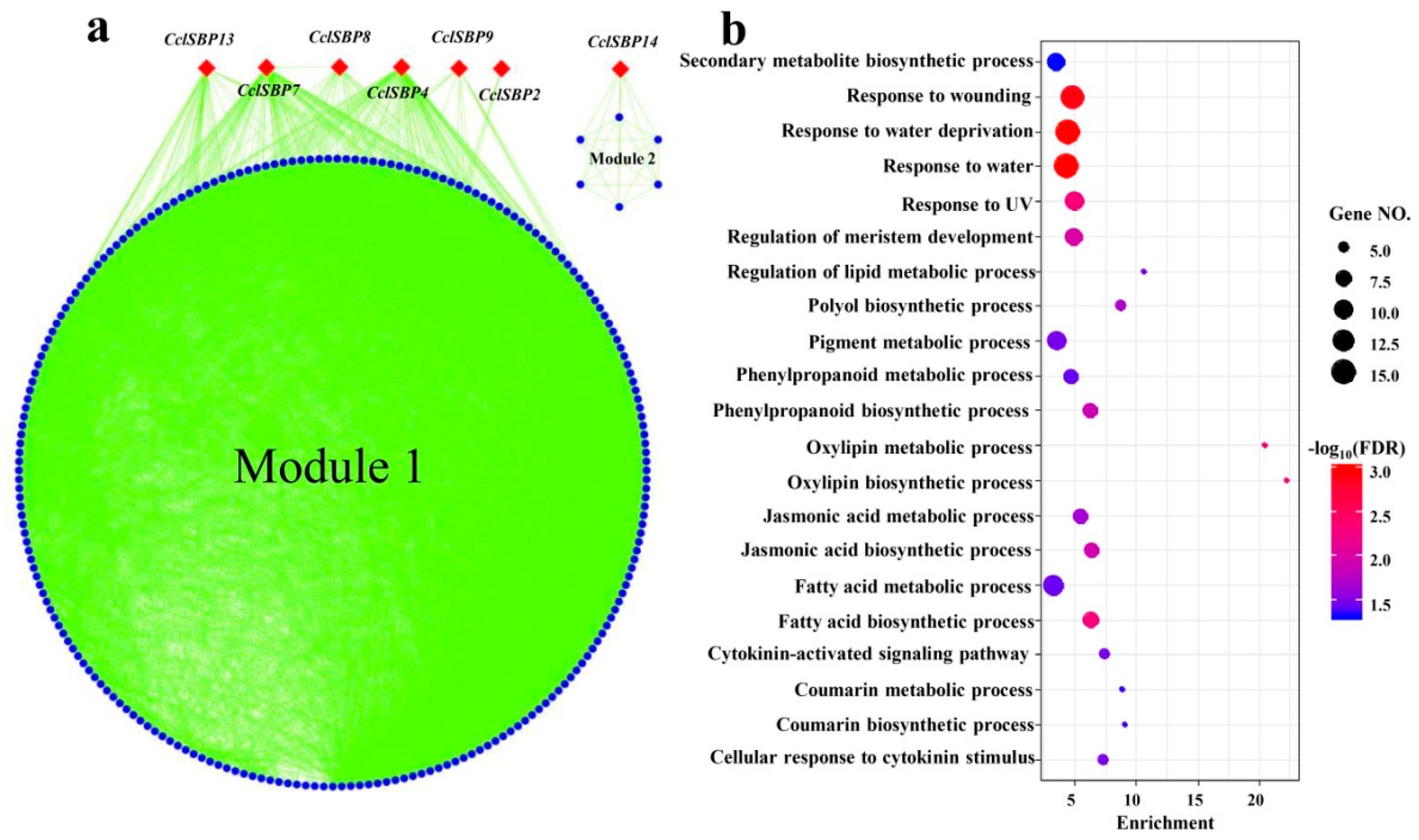 Biomolecules 09 00066 g006