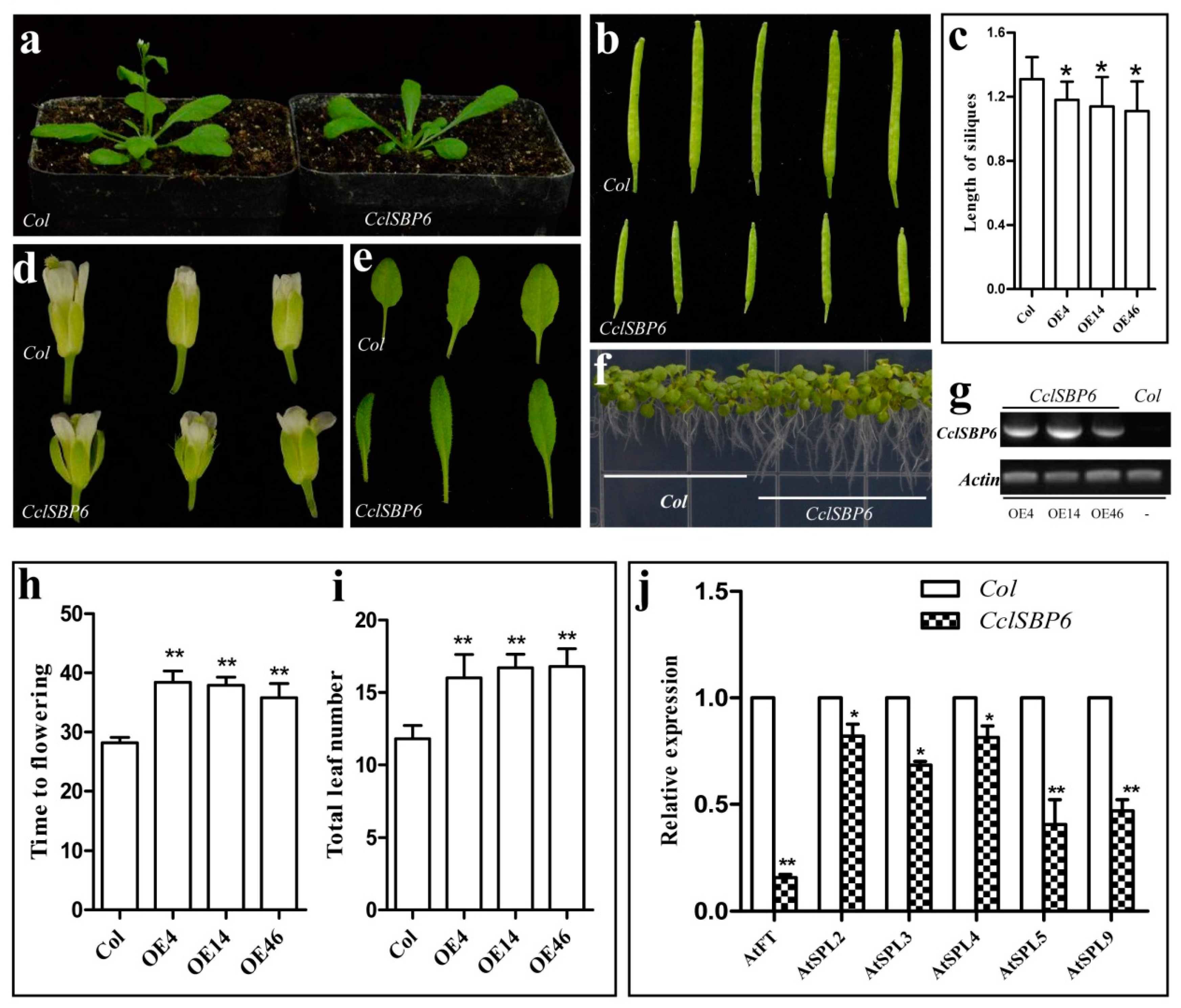 Biomolecules 09 00066 g007