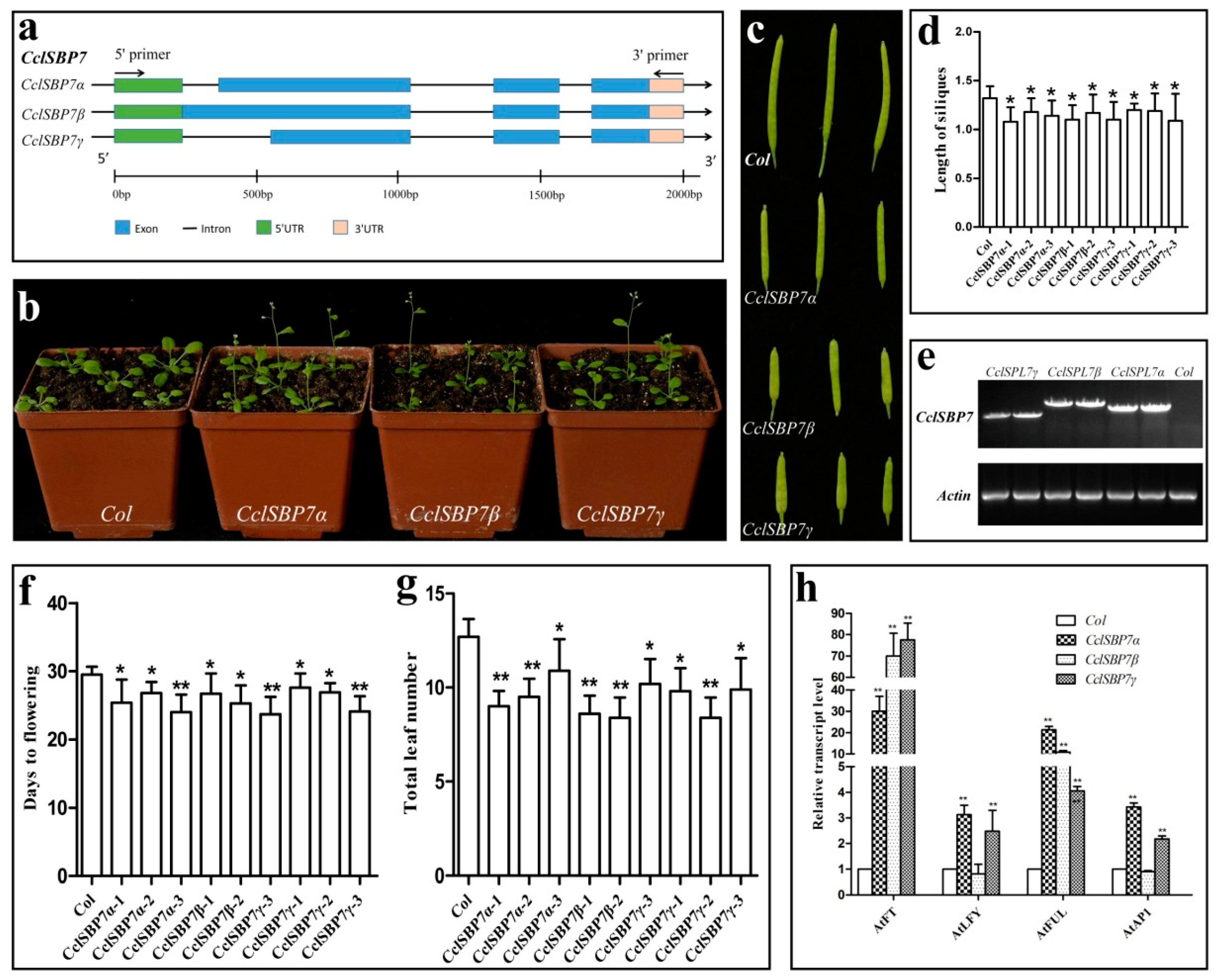 Biomolecules 09 00066 g008