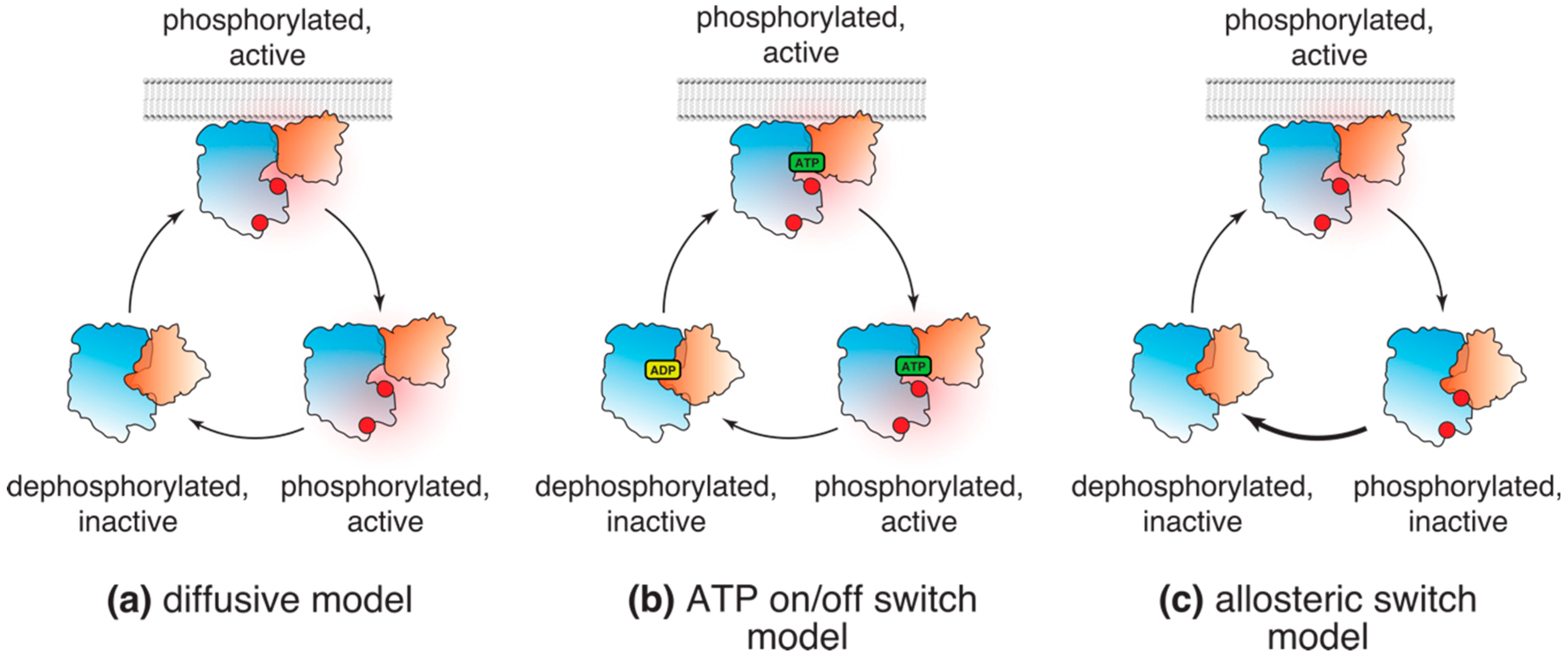 Biomolecules 09 00067 g002