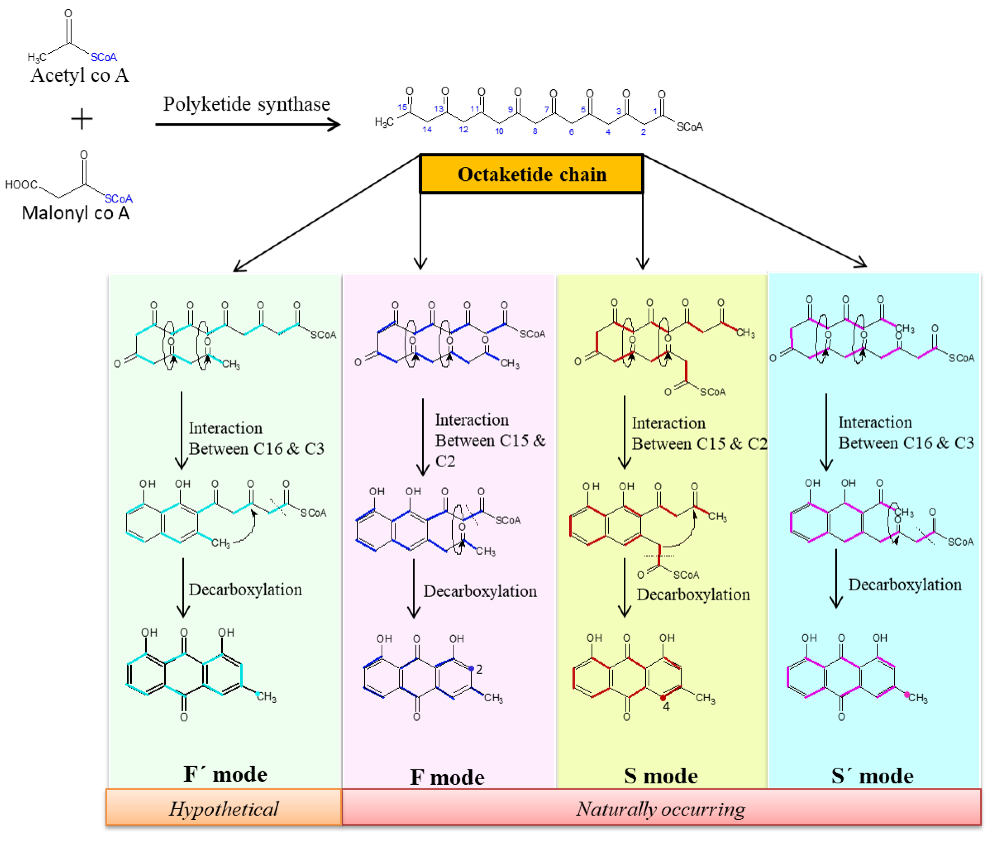 Biomolecules 09 00068 g001