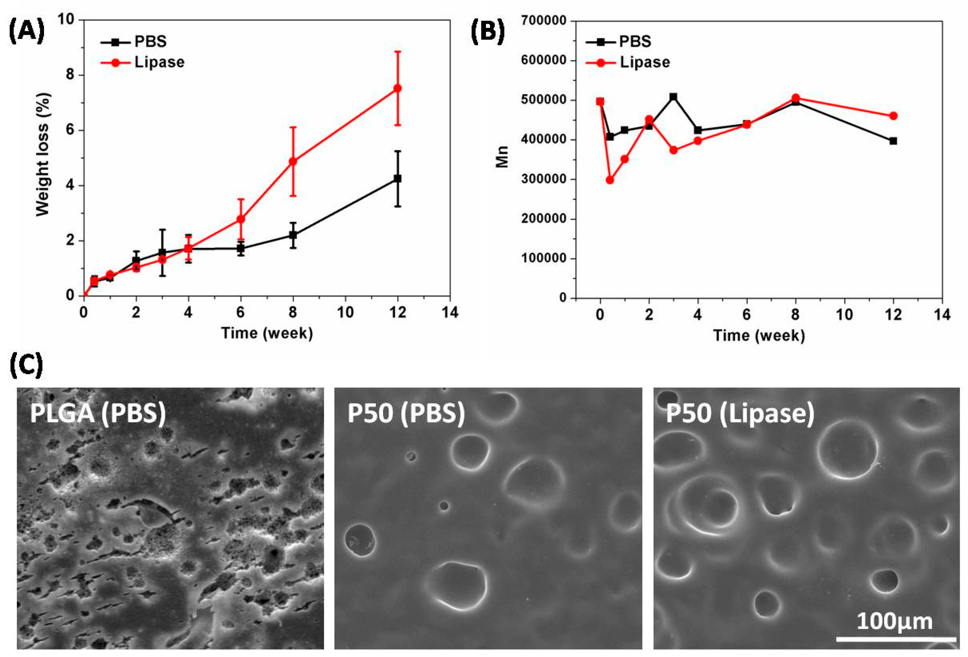 Biomolecules 09 00069 g002
