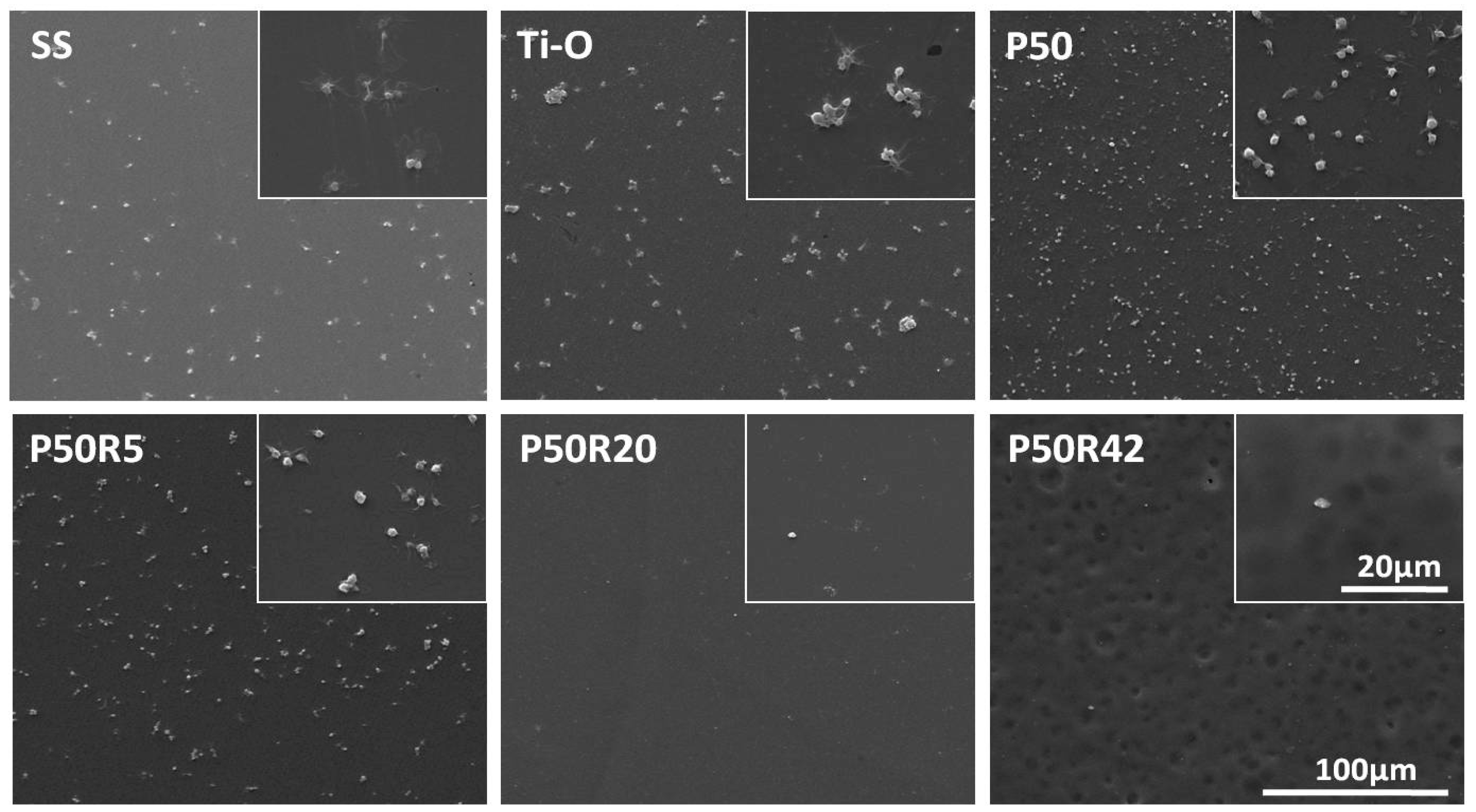 Biomolecules 09 00069 g004
